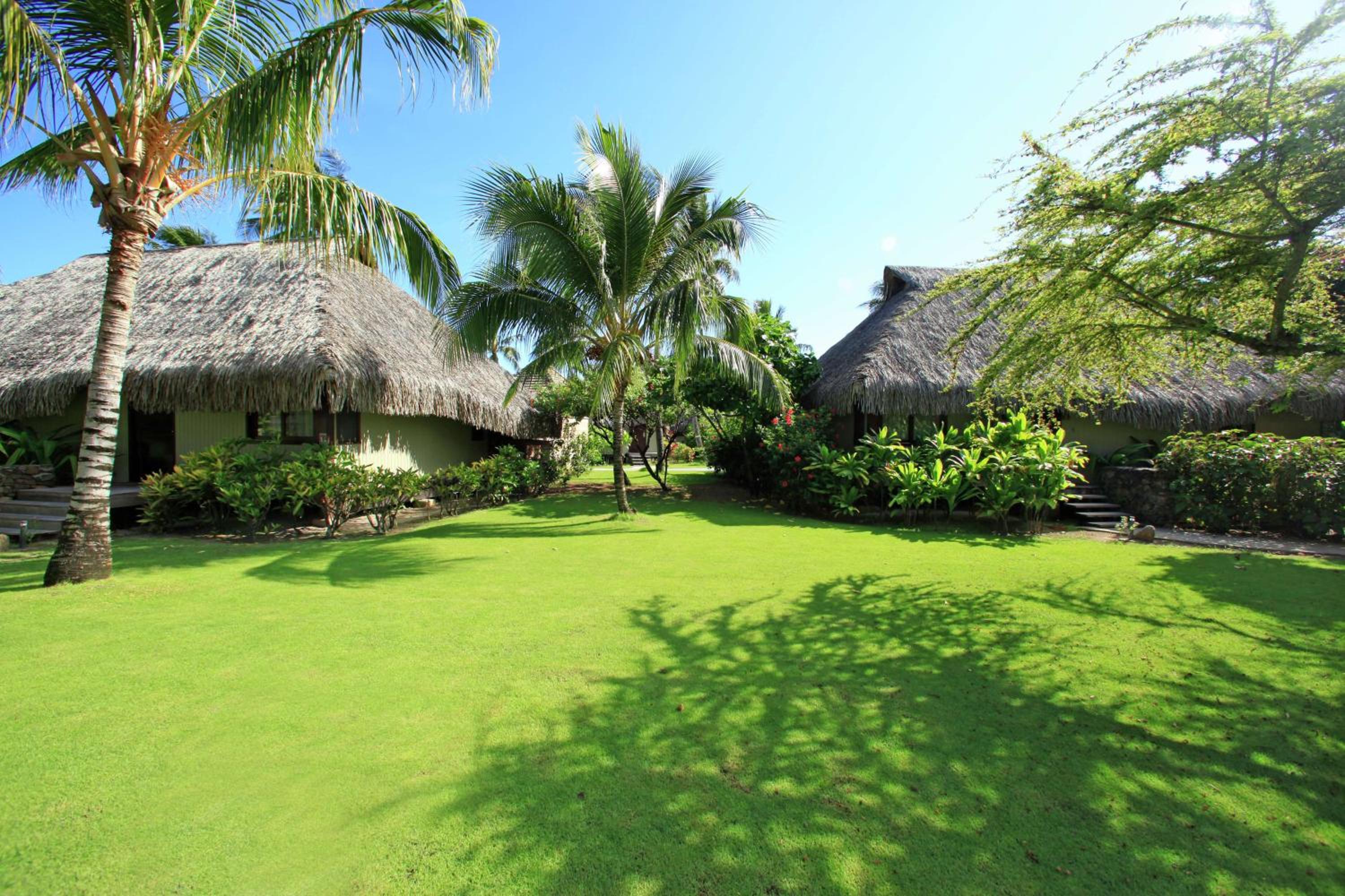 Hilton Moorea Lagoon Resort  Spa - Property Image 47
