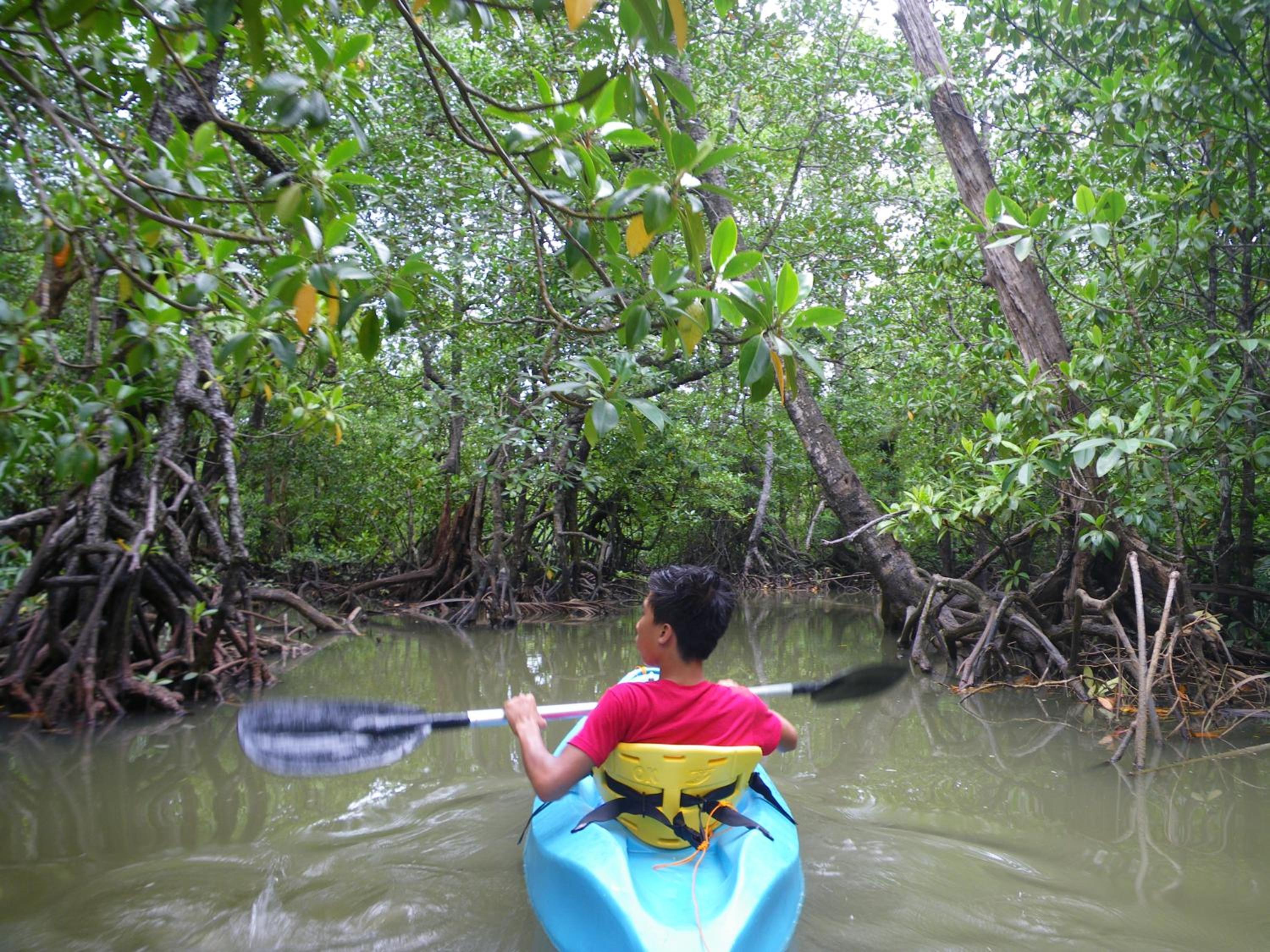Palawan Ecolodge