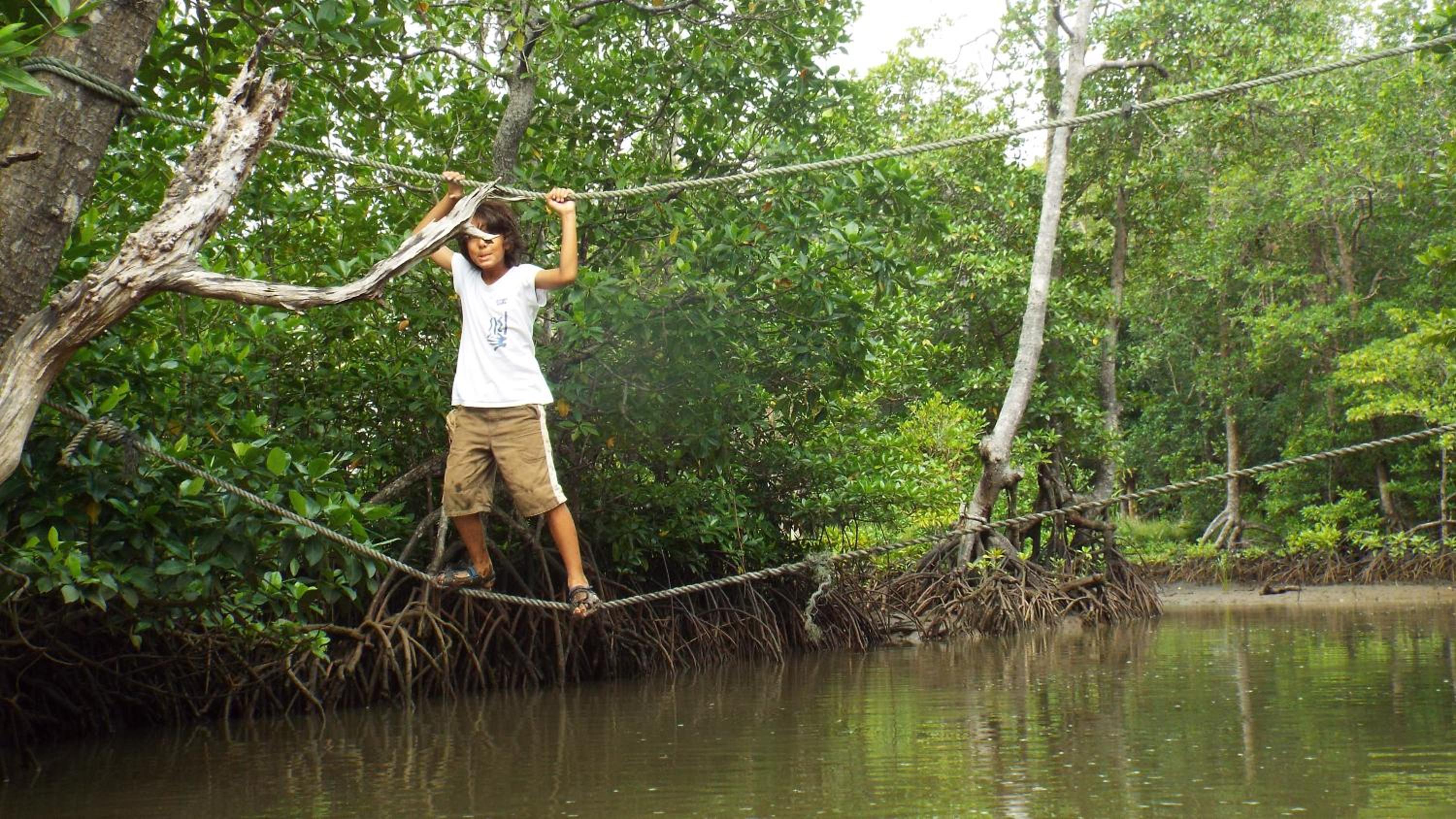 Palawan Ecolodge