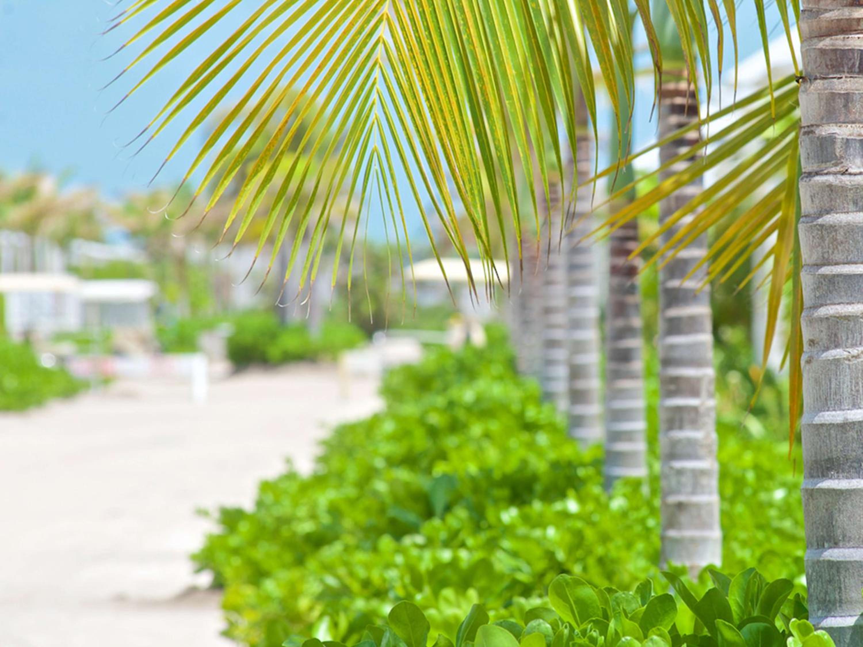 Mahogany Bay Resort and Beach Club, Curio Collection