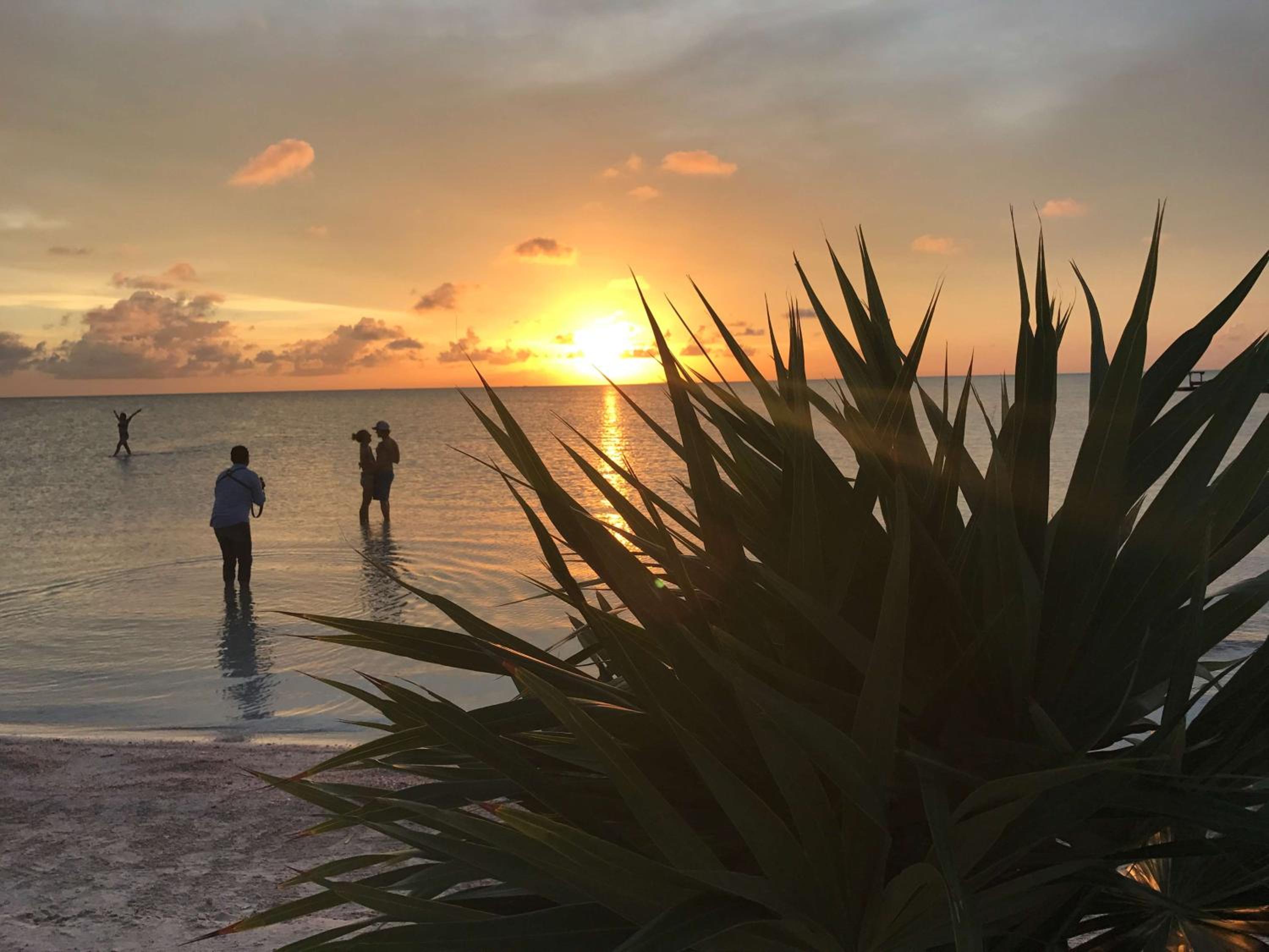 Mahogany Bay Resort and Beach Club, Curio Collection