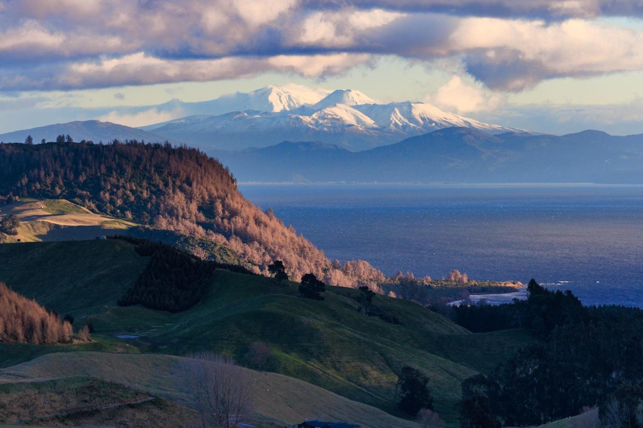 Hilltop Whakaipo Estate - Image 2