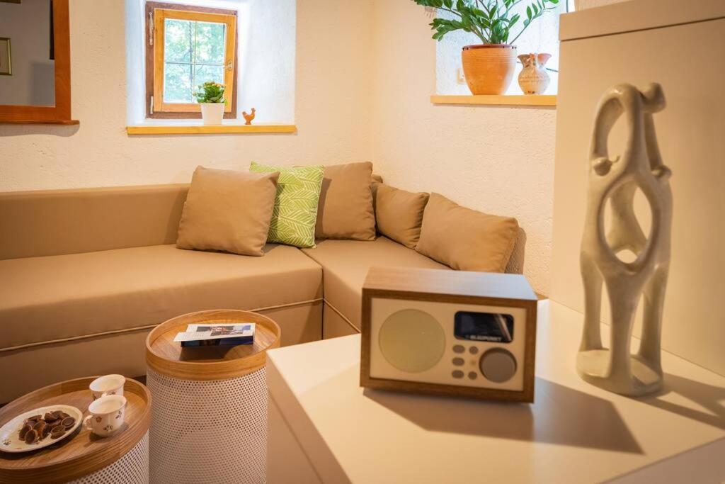 Studio Apartment Pr' Mirotu view 5