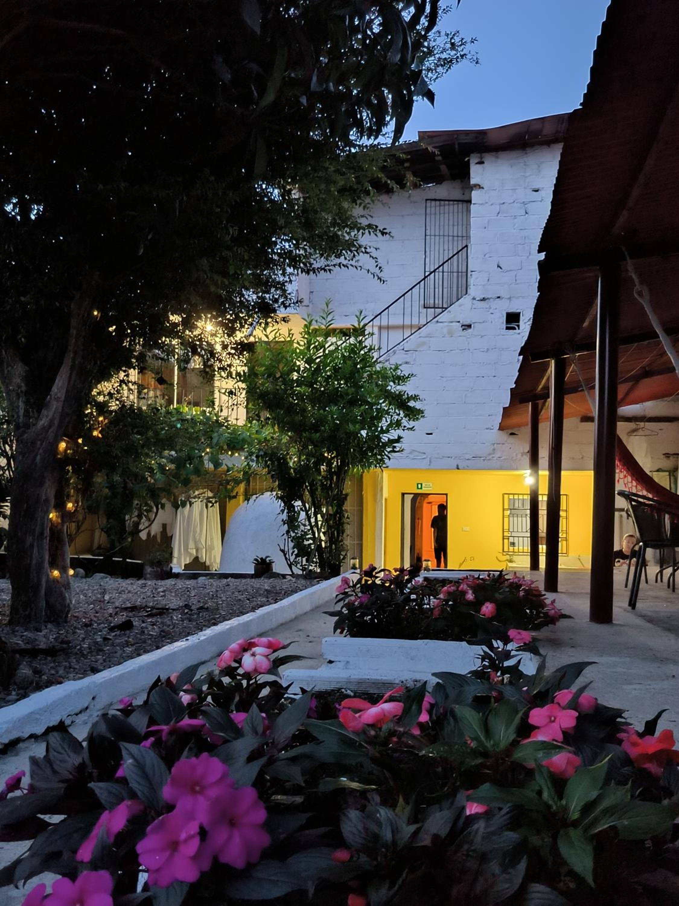 Magic Jardín Hostel - Patio, Balcony & Rooftop