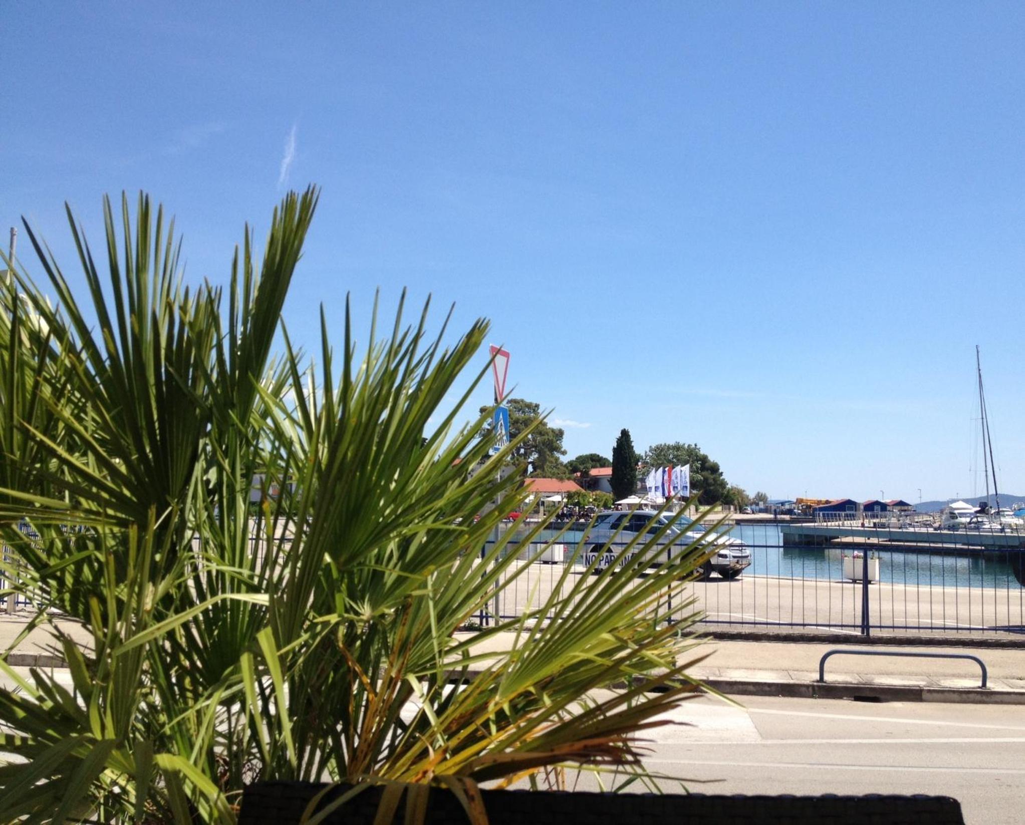 Studio Apartments with Terrace near Sea - Angela's Apartments - main view