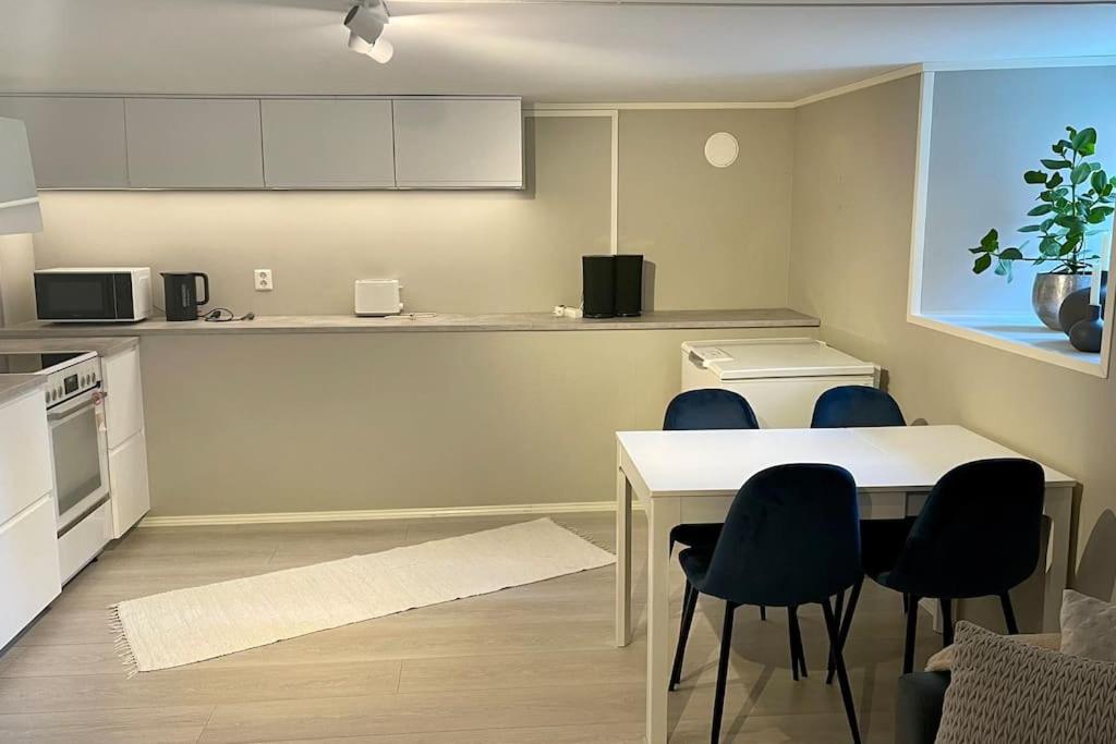 One bedroom basement apartment in the city