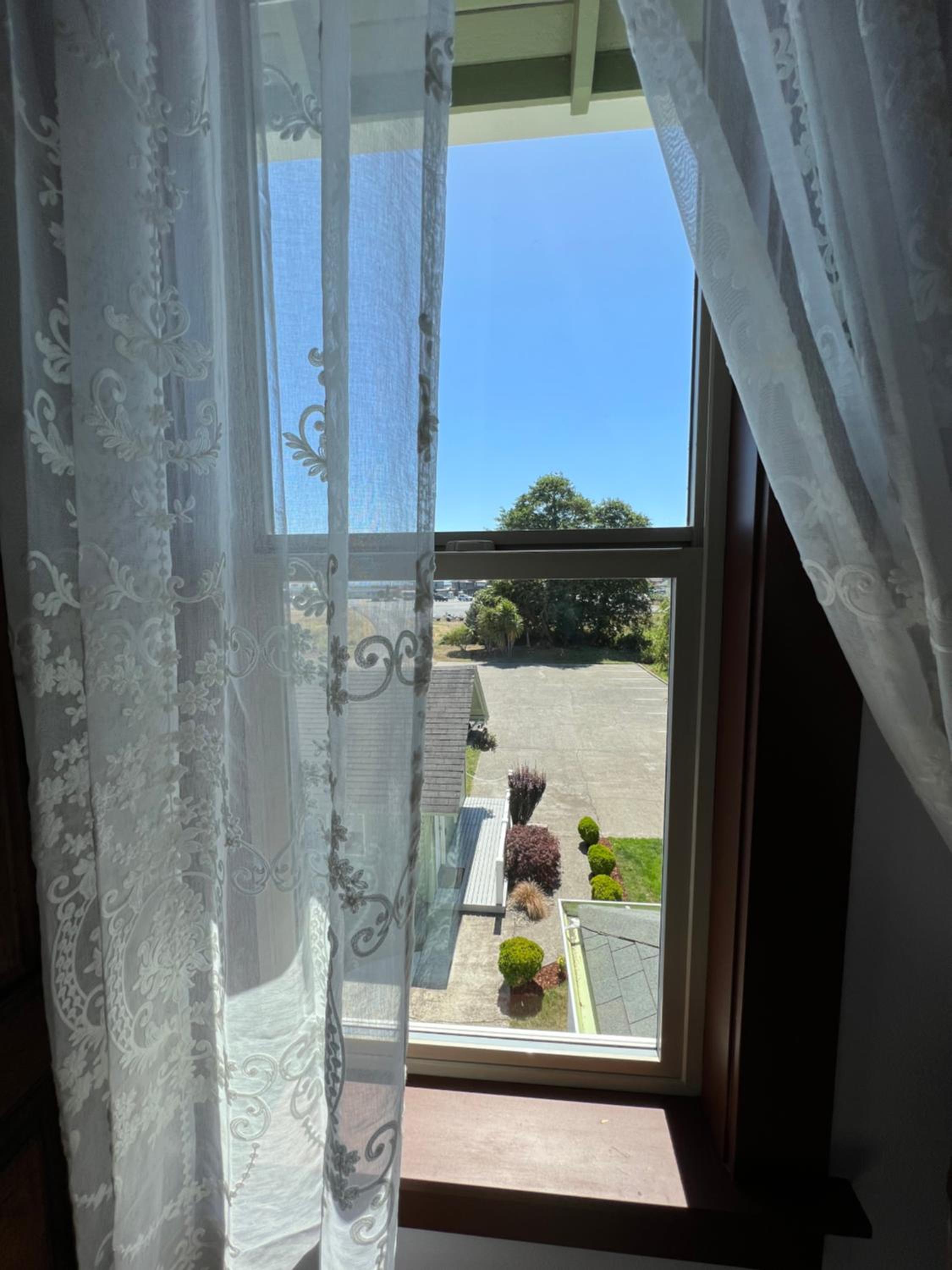 The Pearl Inn Bed and Breakfast view 5