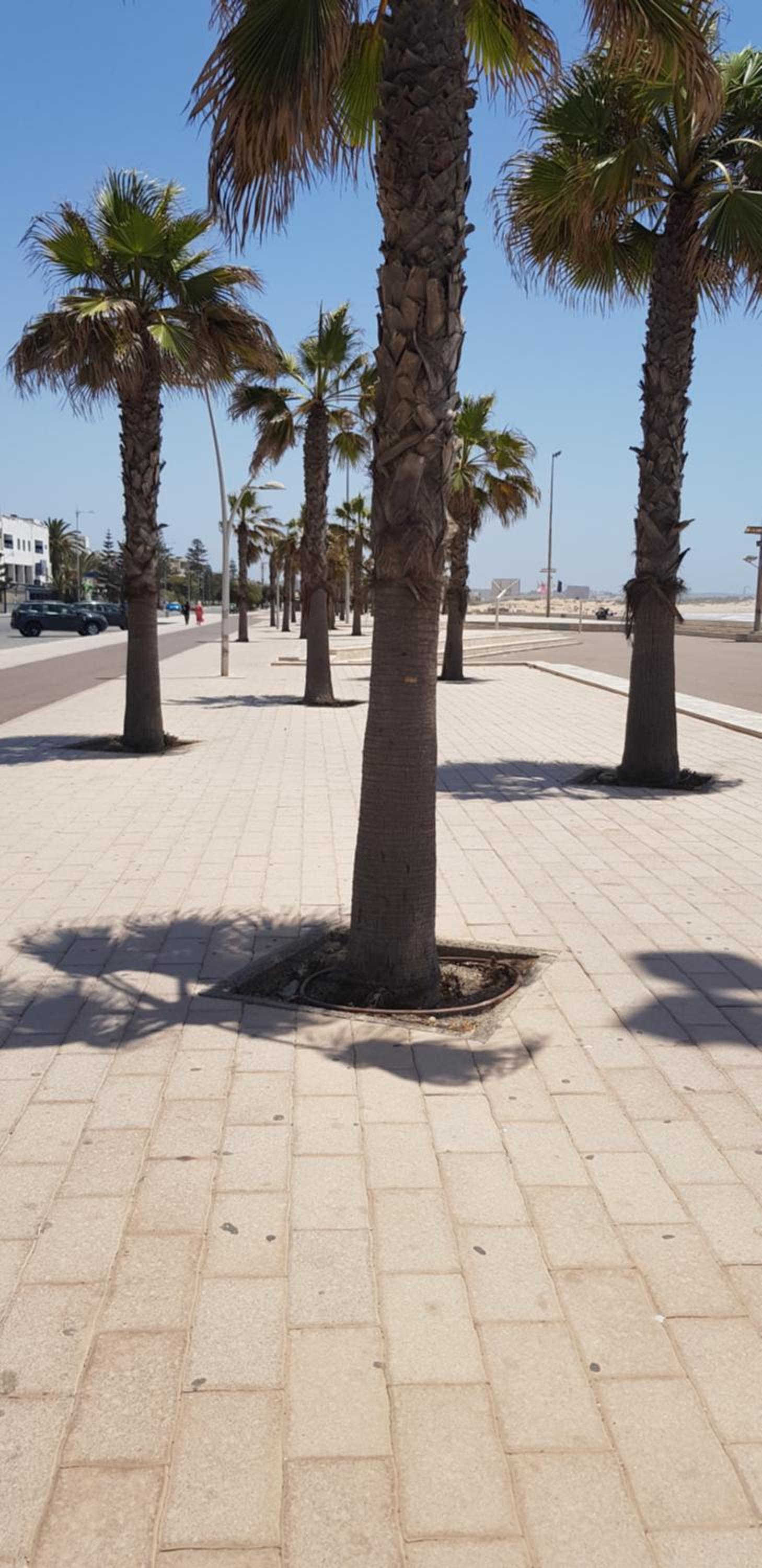 Essaouira Mogador
