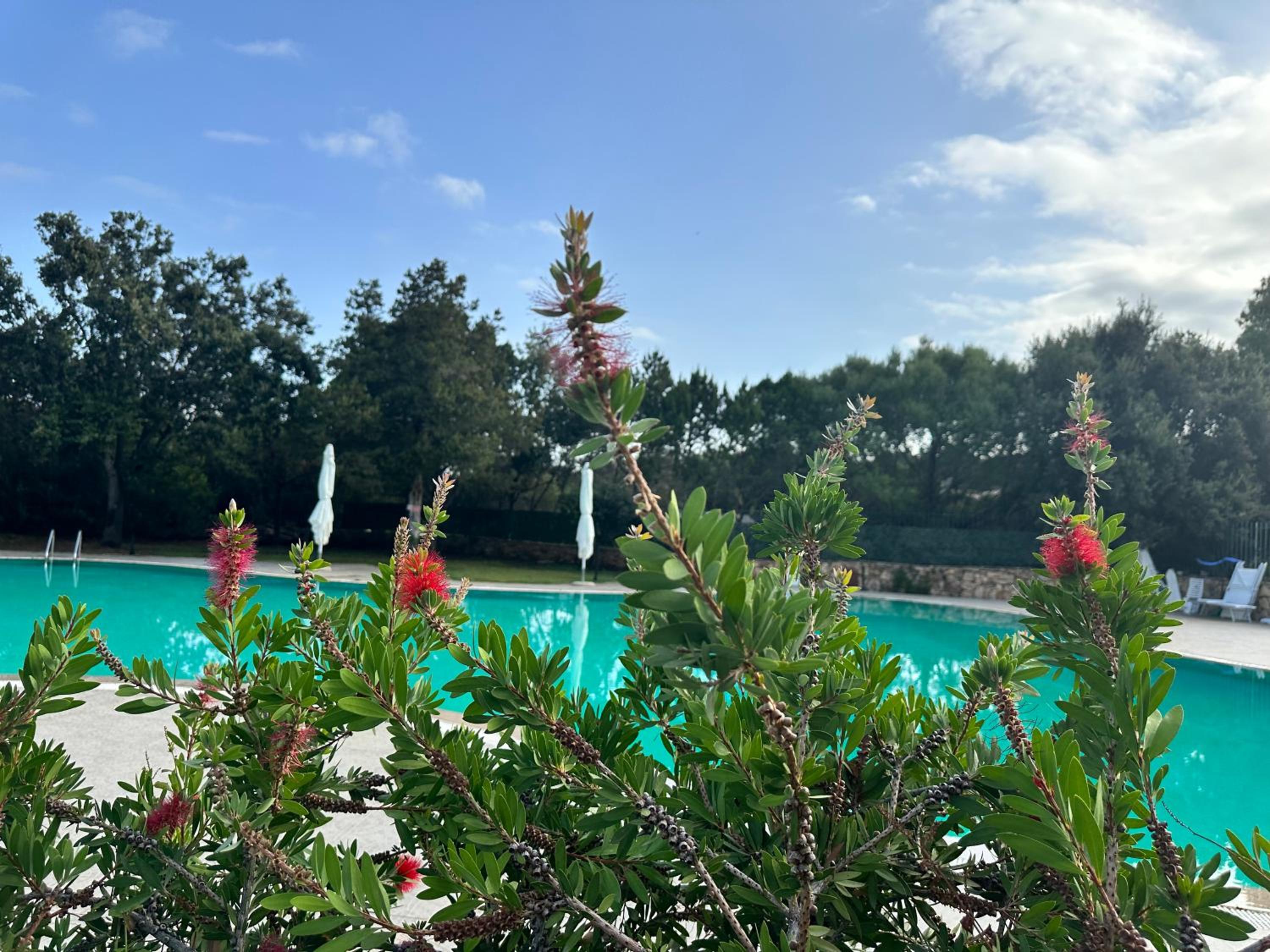 ILIA'S House Porto Rotondo