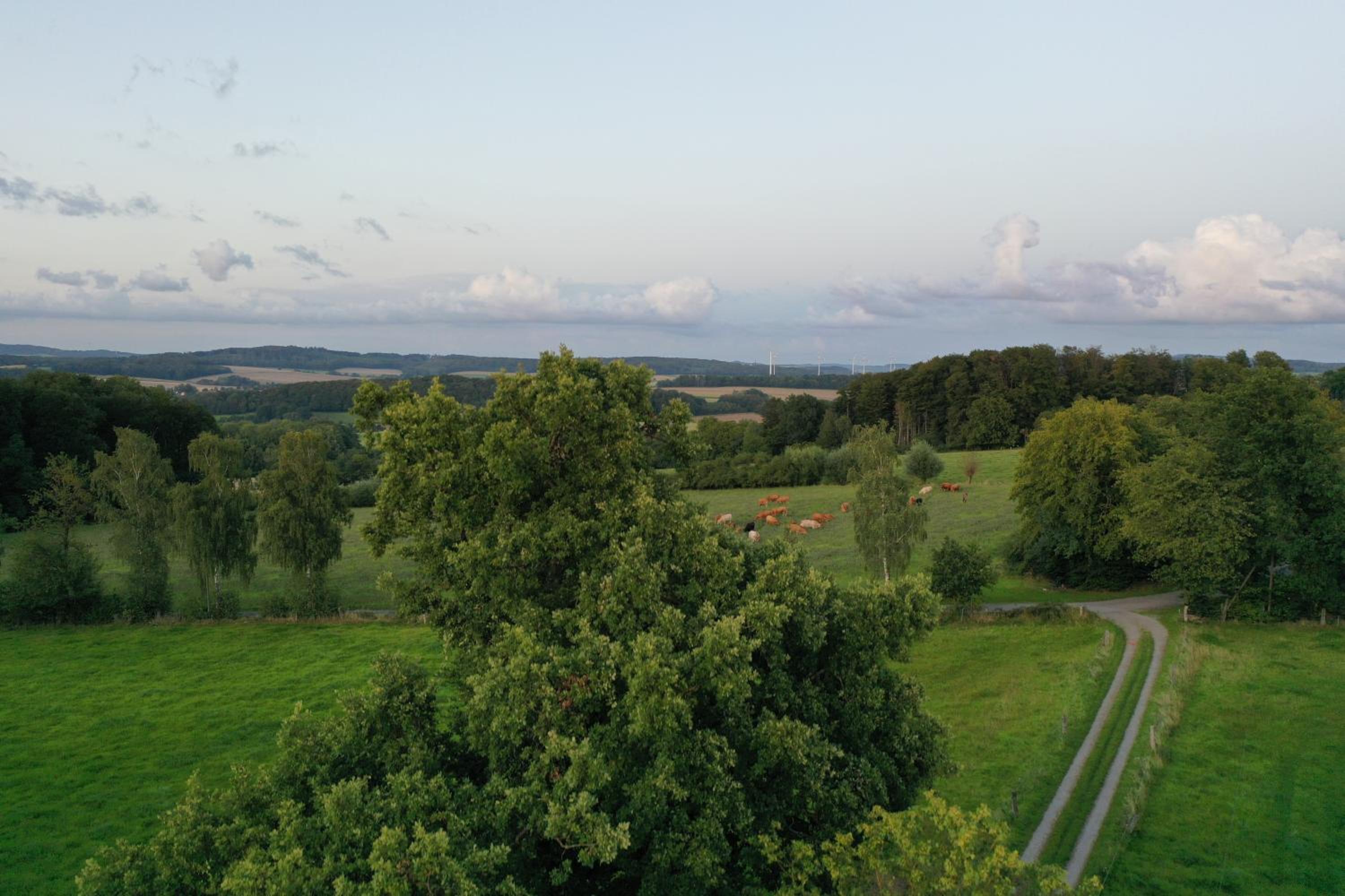 Erholen und Wohlfühlen Auf dem Knick