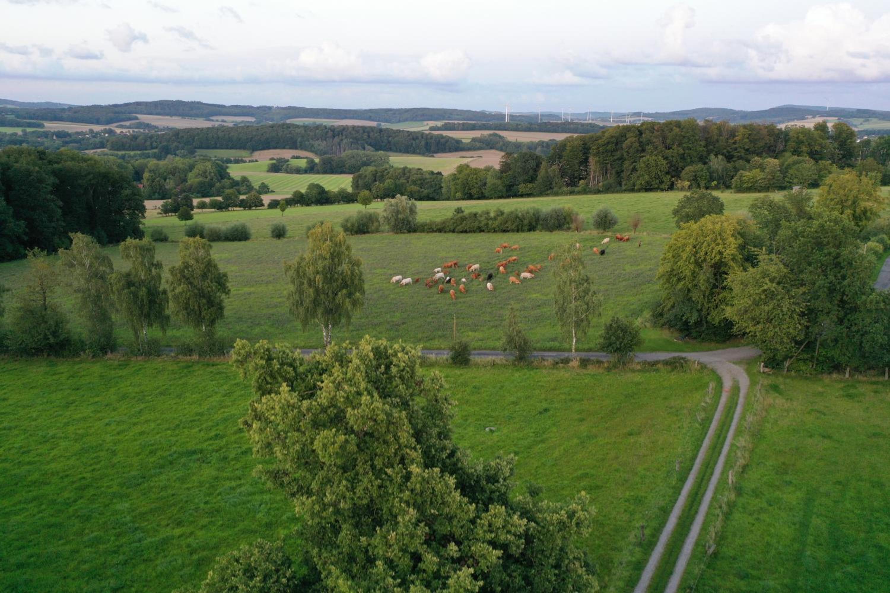 Erholen und Wohlfühlen Auf dem Knick