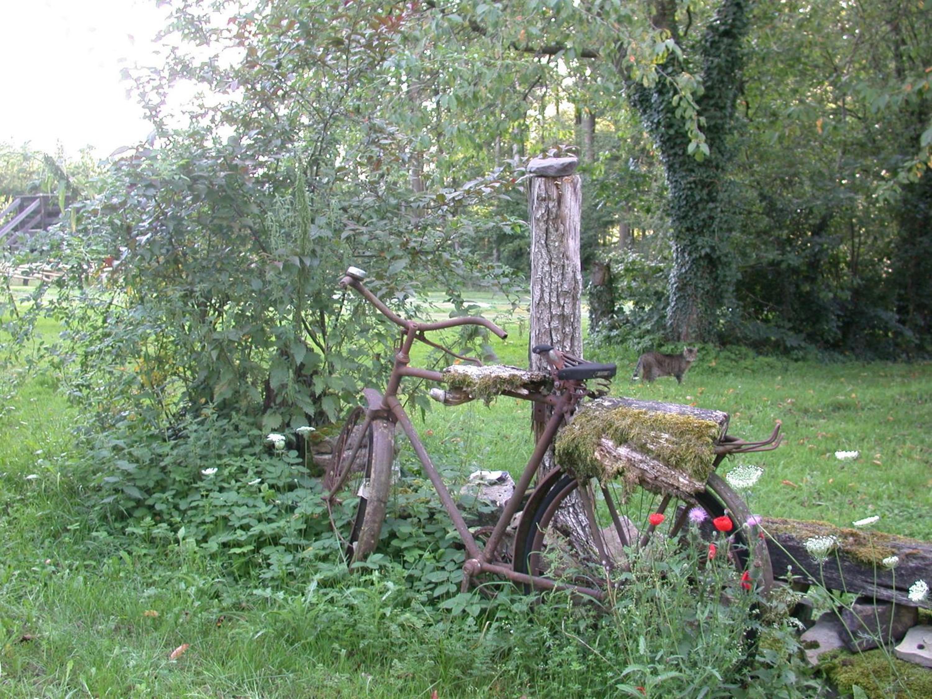 Erholen und Wohlfühlen Auf dem Knick