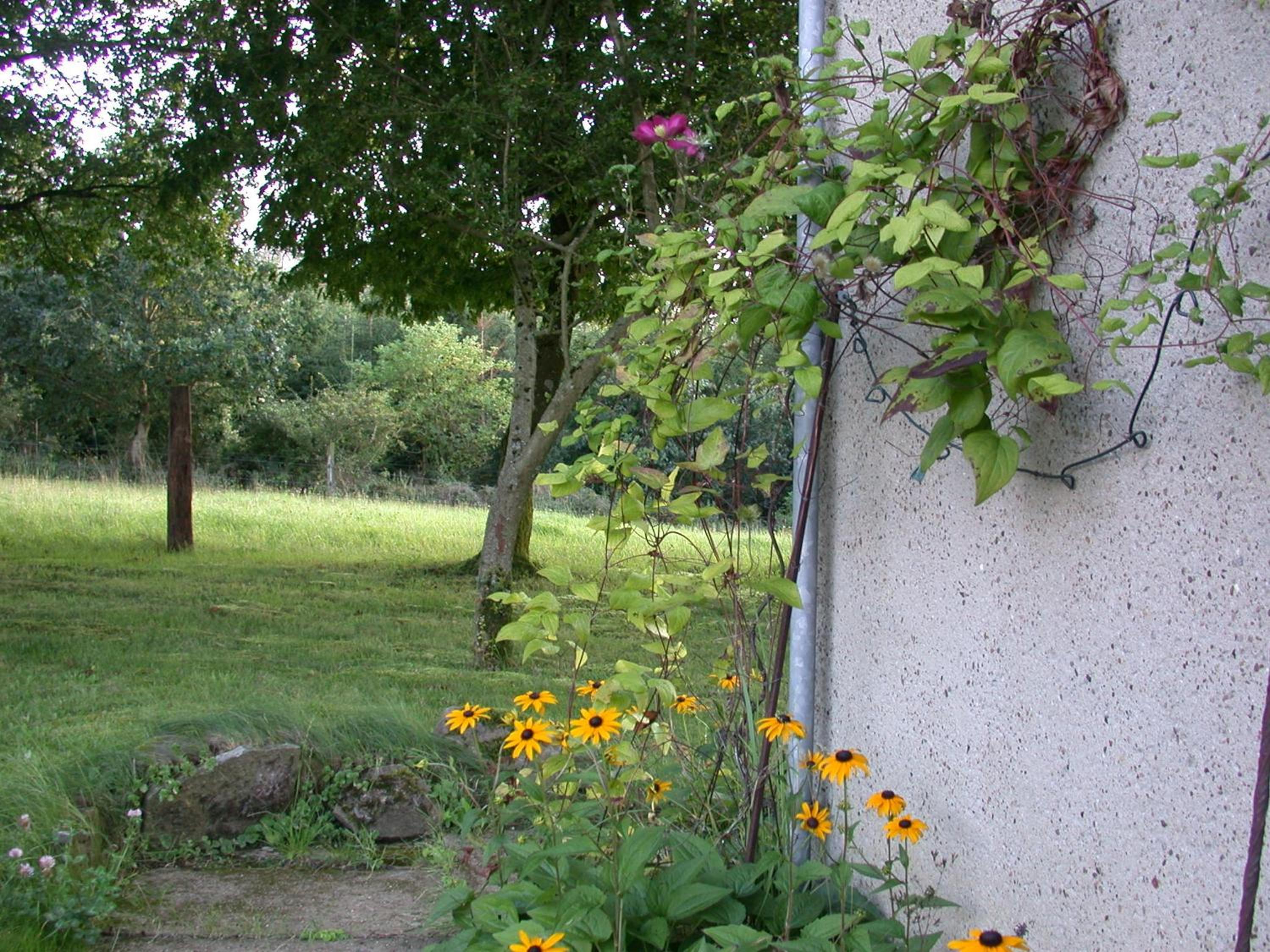 Erholen und Wohlfühlen Auf dem Knick
