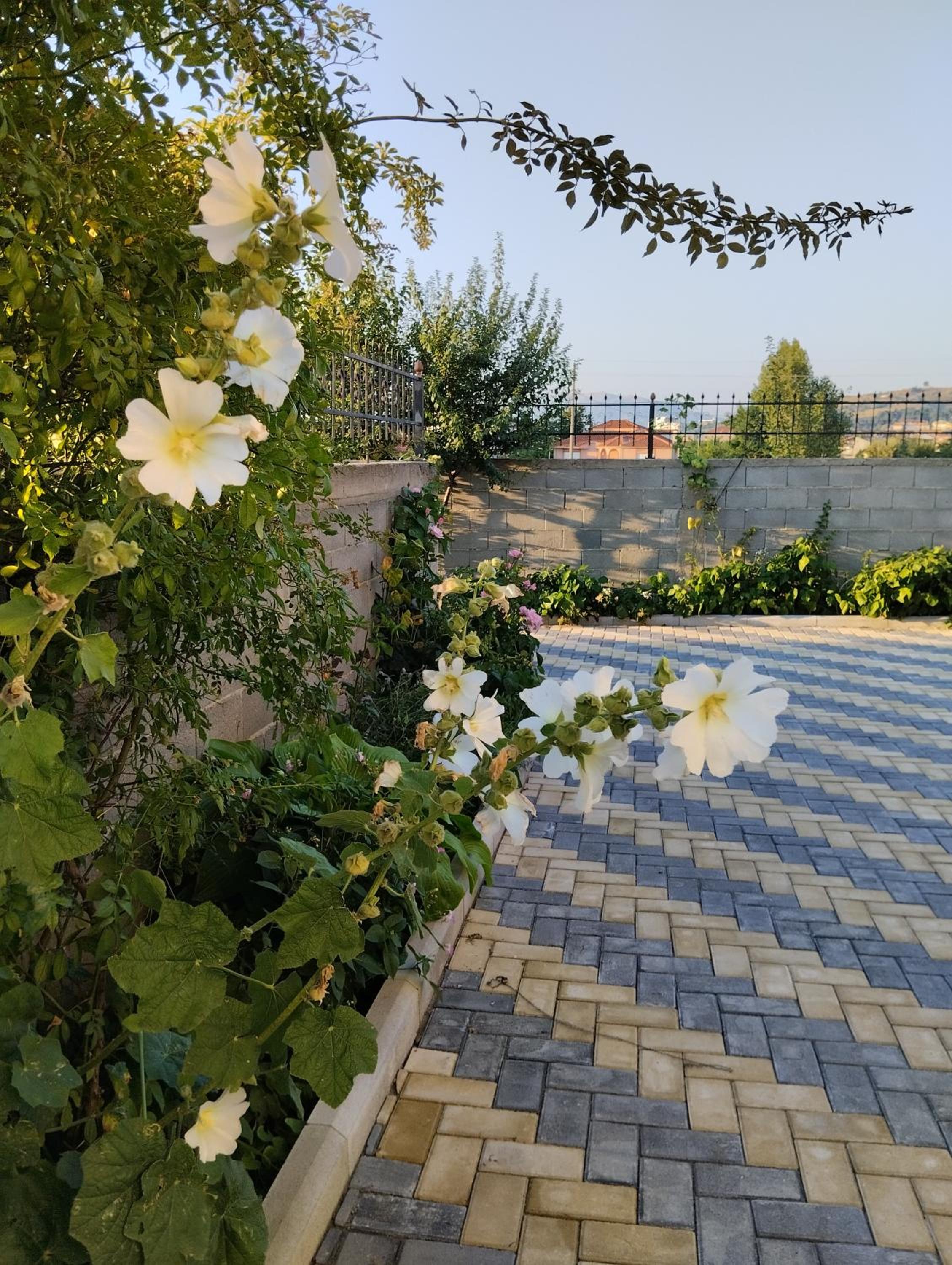 Dhoma romantike , qetesi absolute!