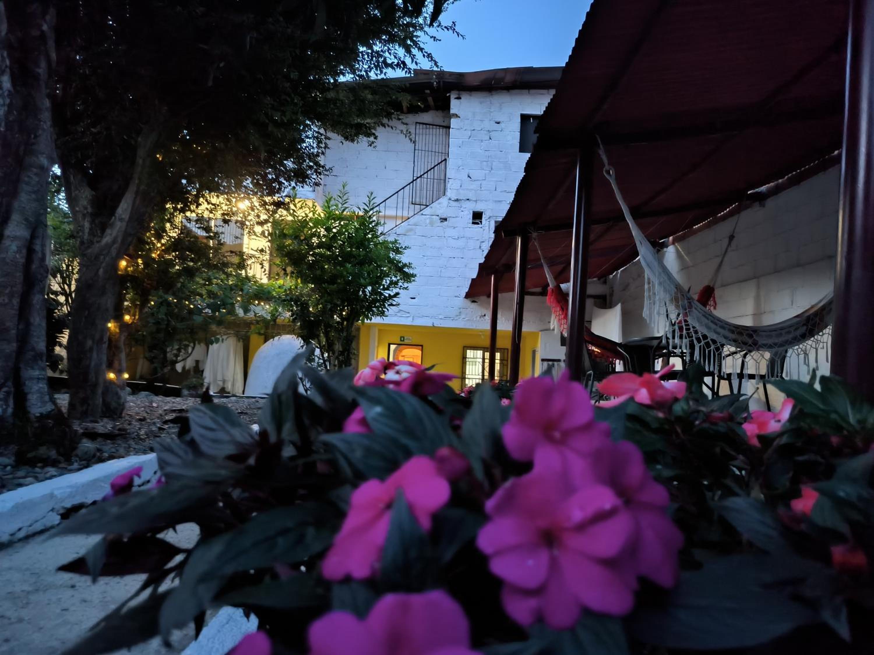 Hotel Magic Jardín Hostel - Patio, Balcony & Rooftop - Image 1