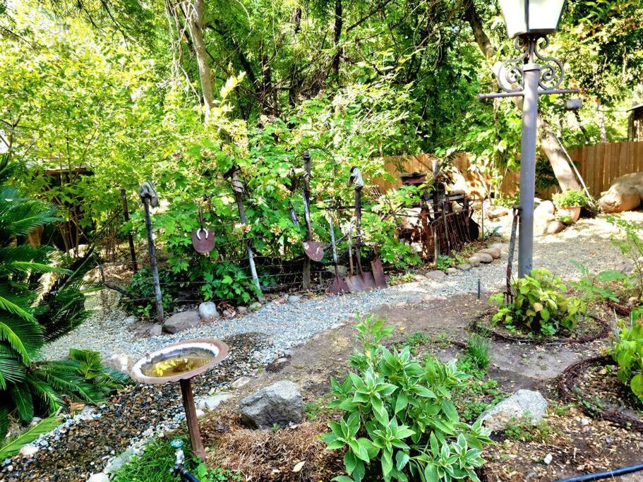 Photo 31