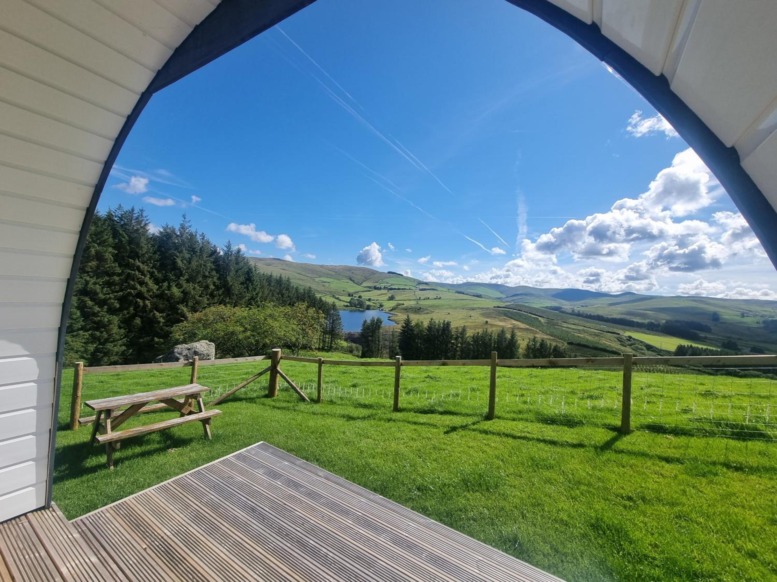 Forester's Retreat Glamping - Dinas View - Vaccinated dogs over the age of 2 are accepted view 3
