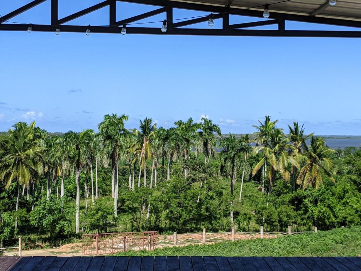 Domescape Glamping