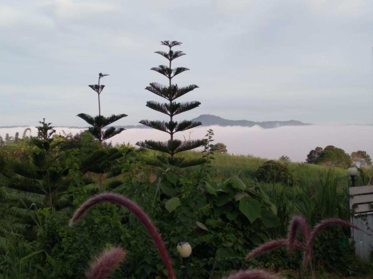 A&B Miracle Khao Kho view 2
