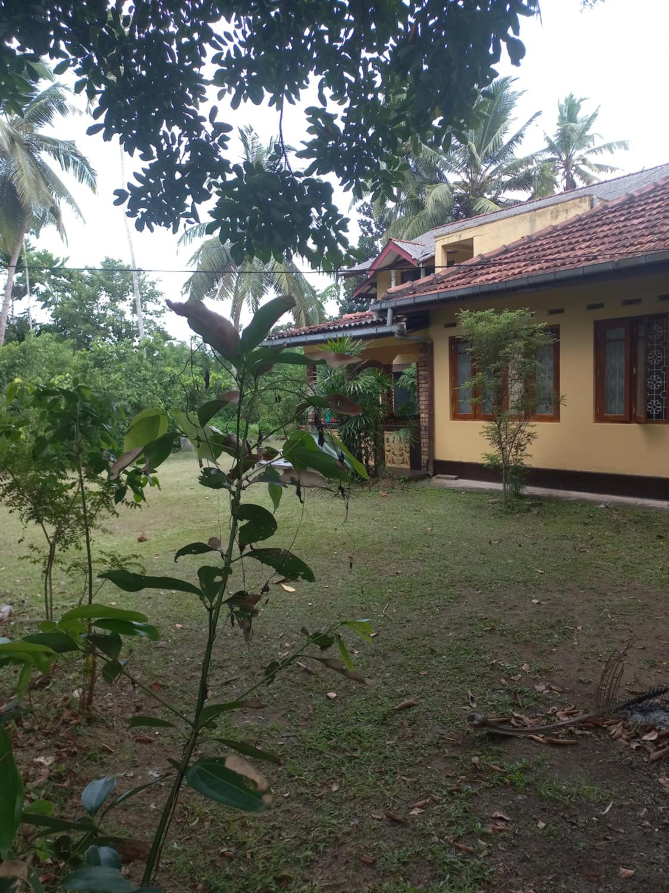 Cinnamon Villa
