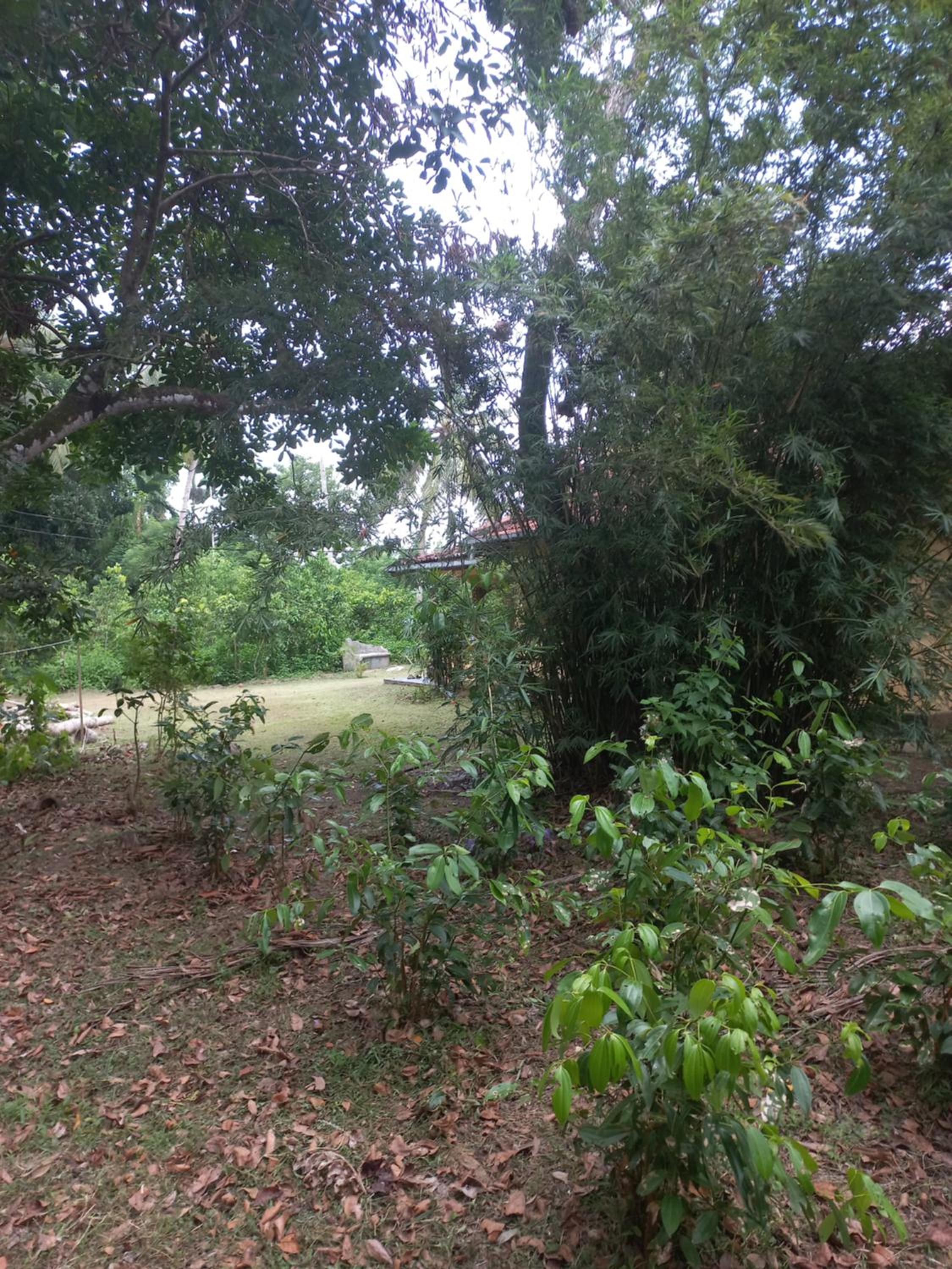 Cinnamon Villa
