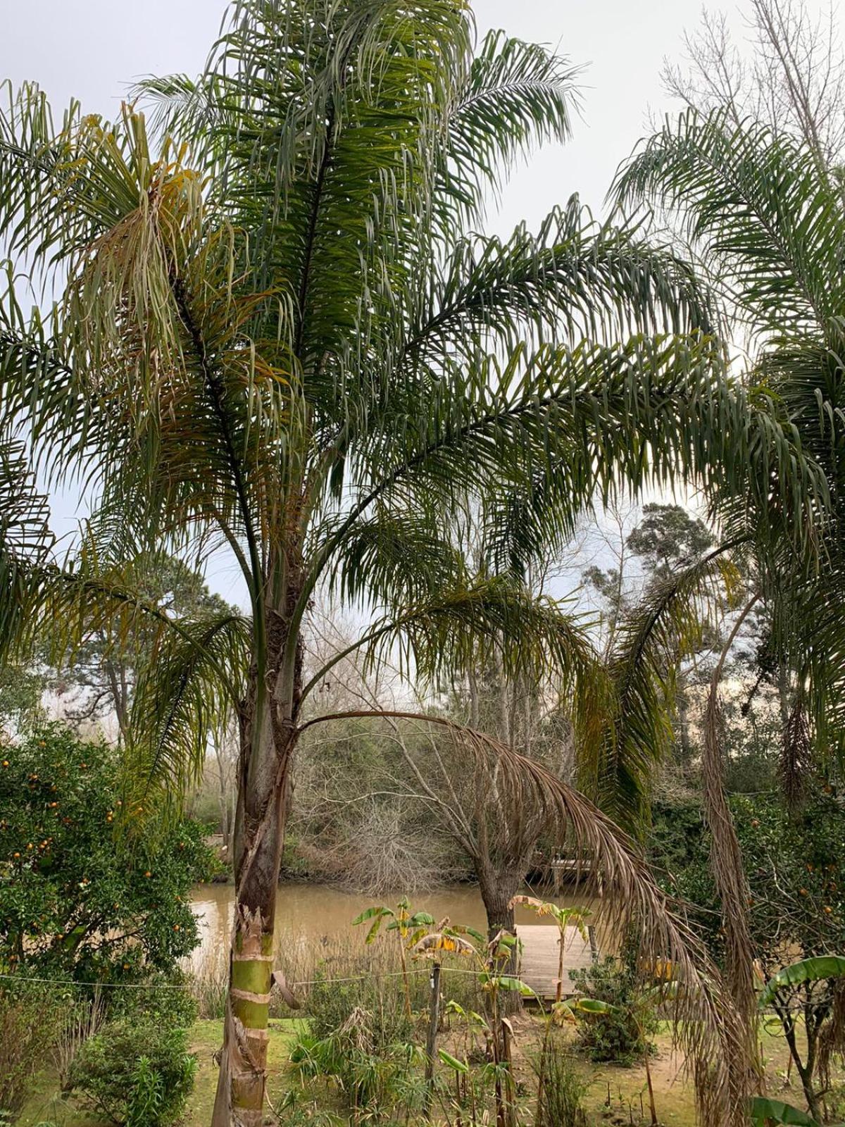 CABAÑA del Amor