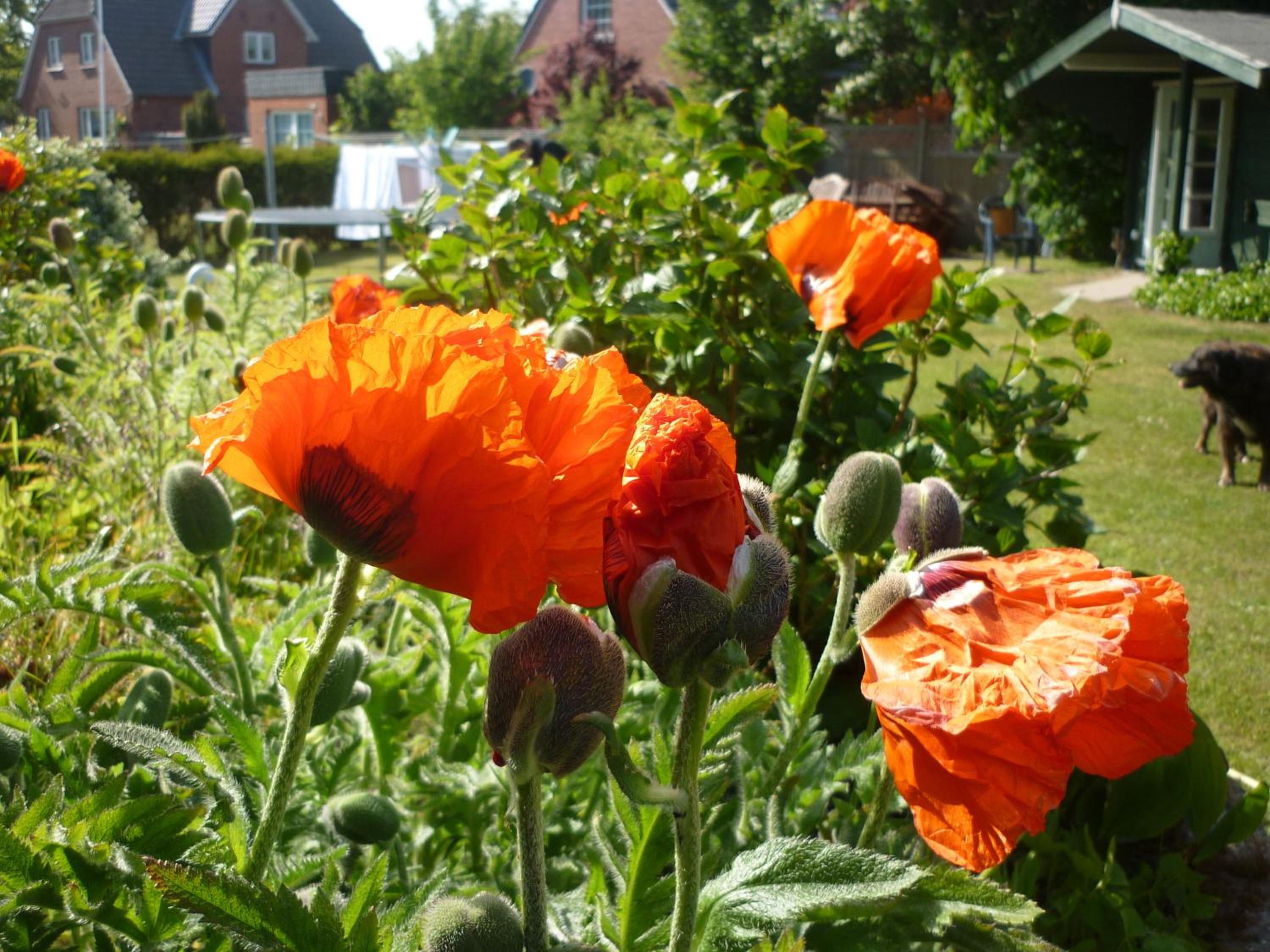 Pension Sturmmöwe
