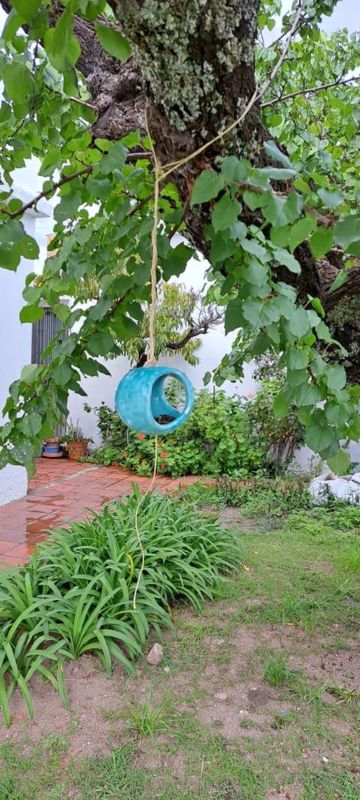 Sueño Cumbre. Casa Lavanda