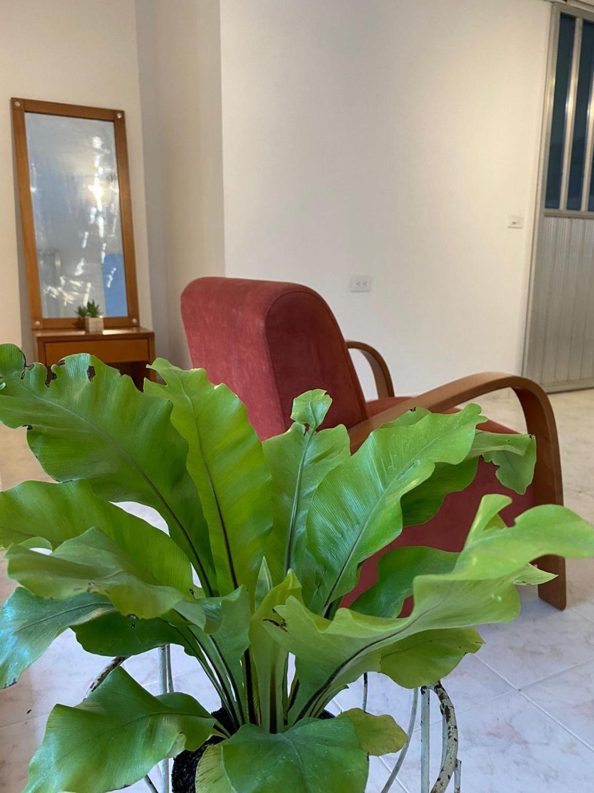 Casa Verbena