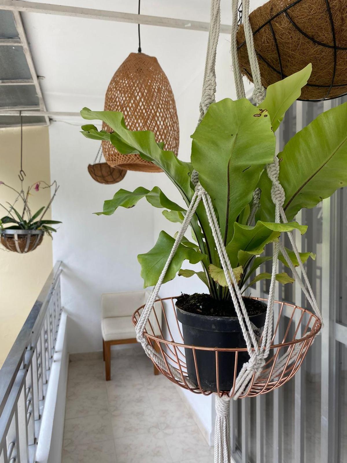 Casa Verbena