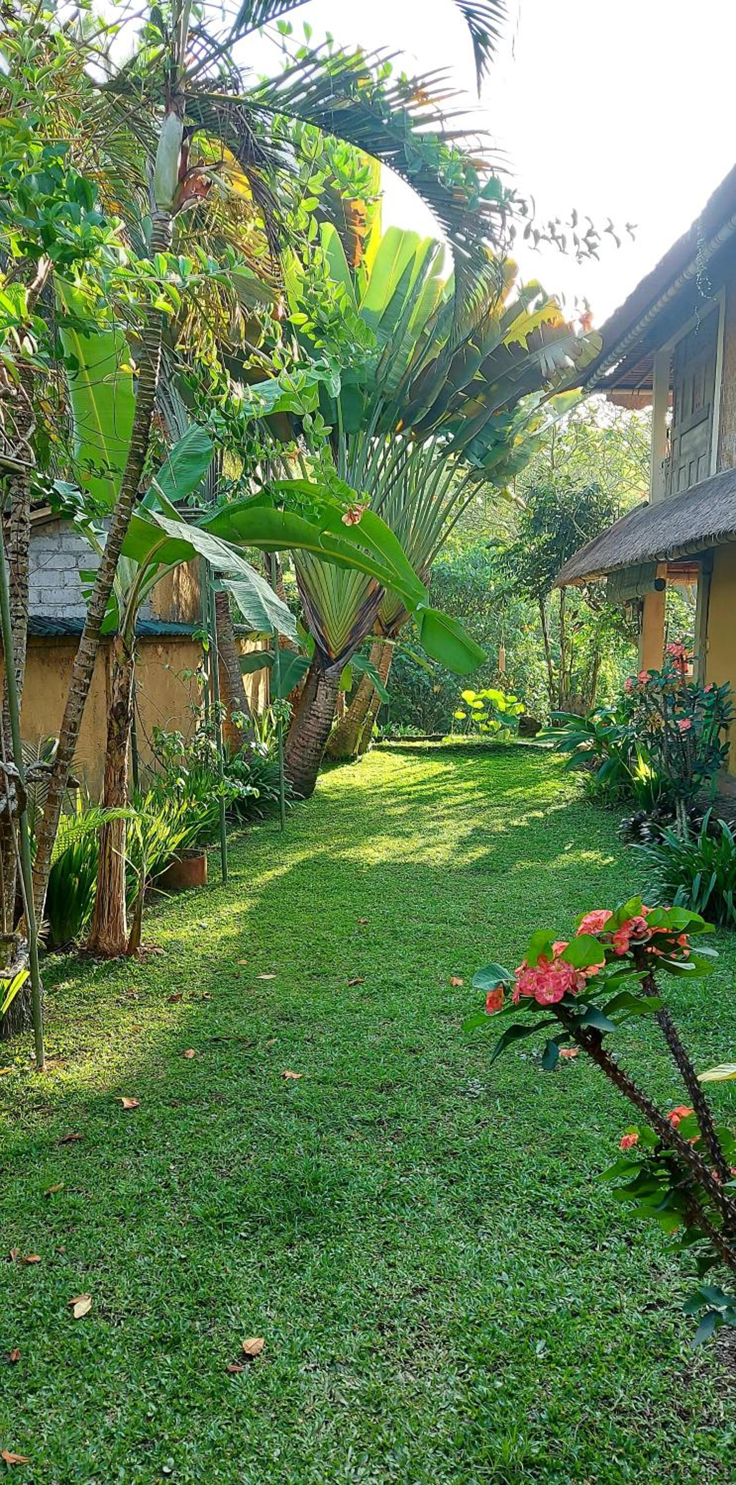 Wooden House Peliatan