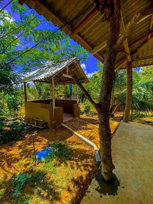 Nelumgala Cottage -Village Experience view 2