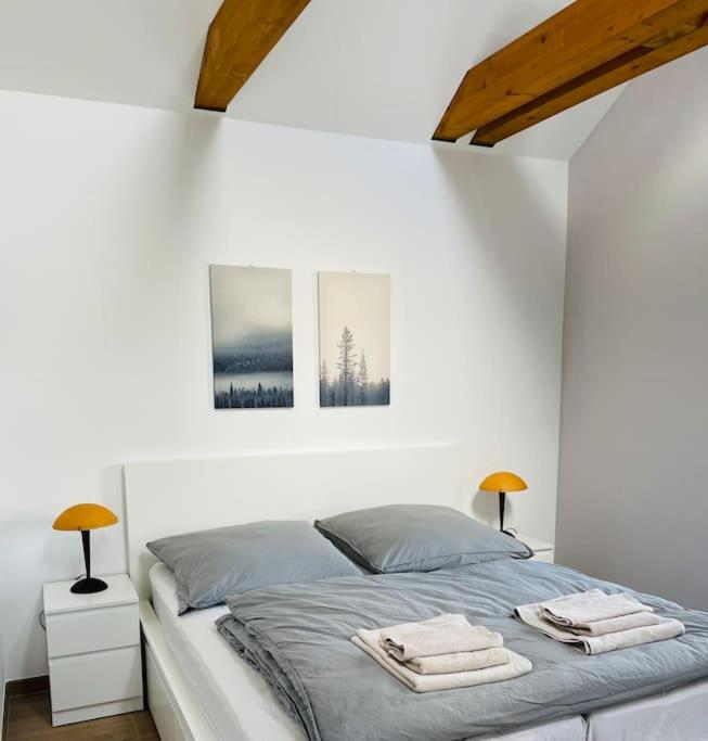 Traumvilla im Herzen Hainichens