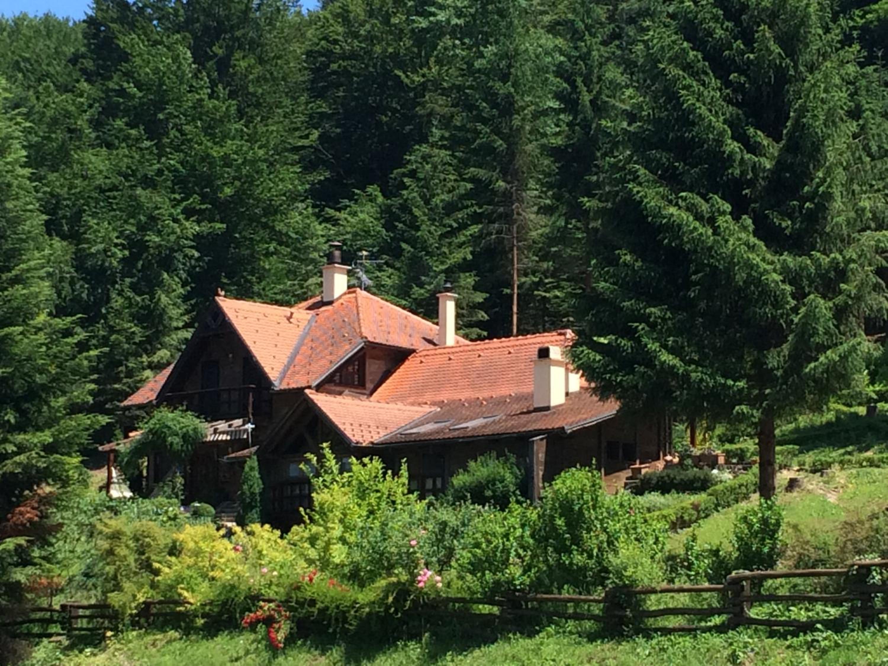 Holiday Home Tonkina kuća view 4