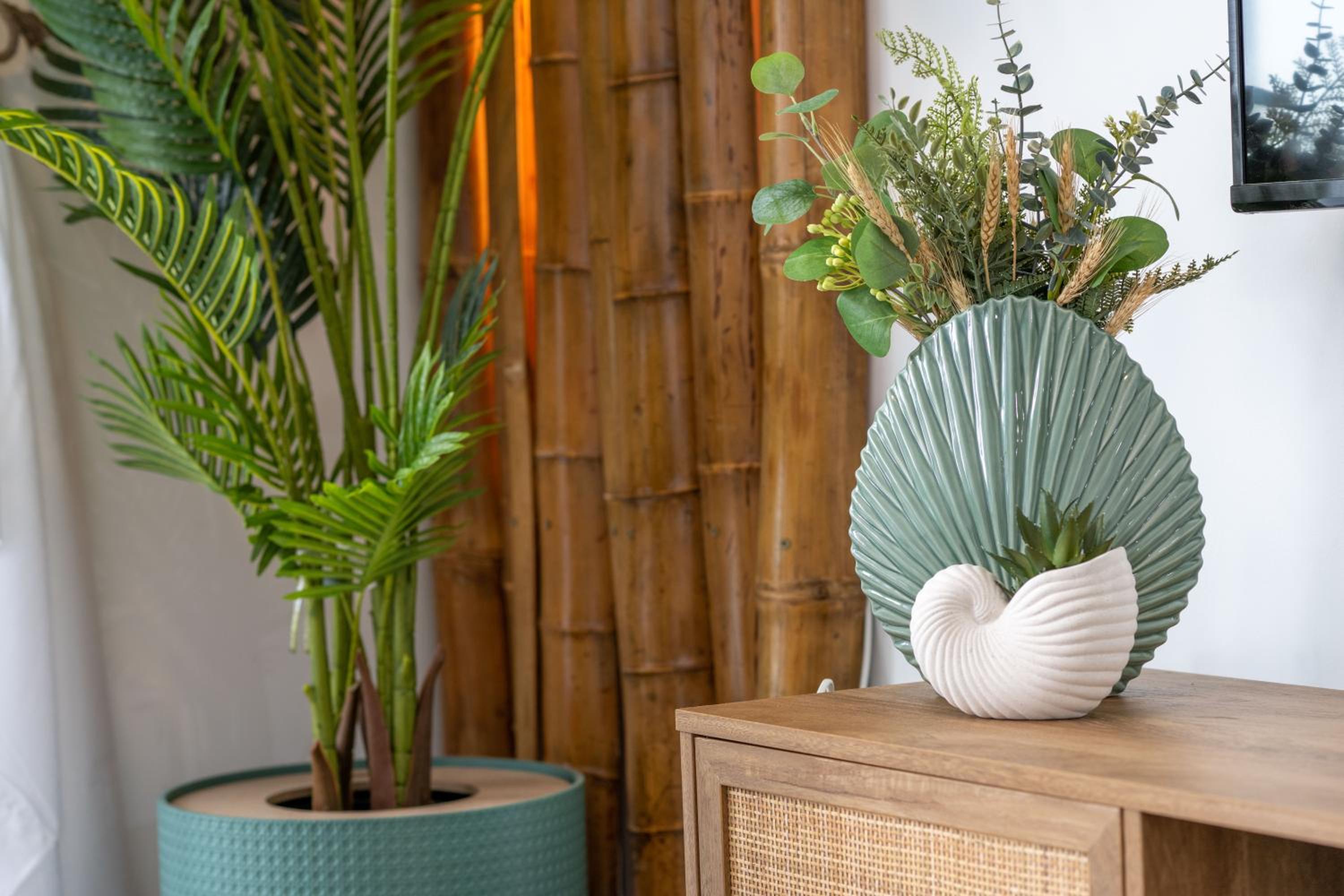 Seashell achziv suite