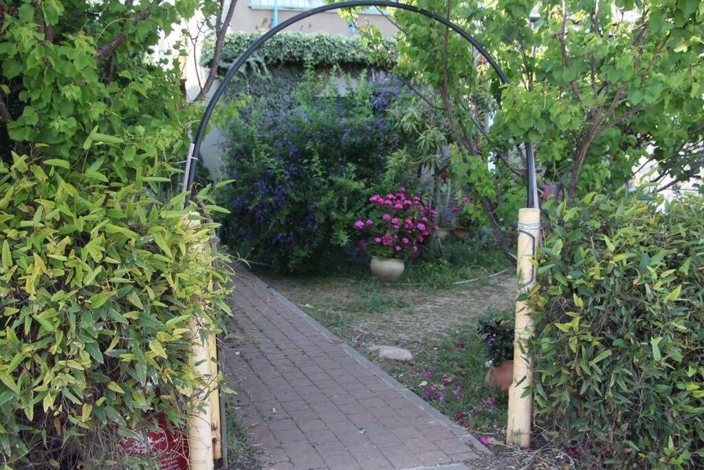 Photo 14