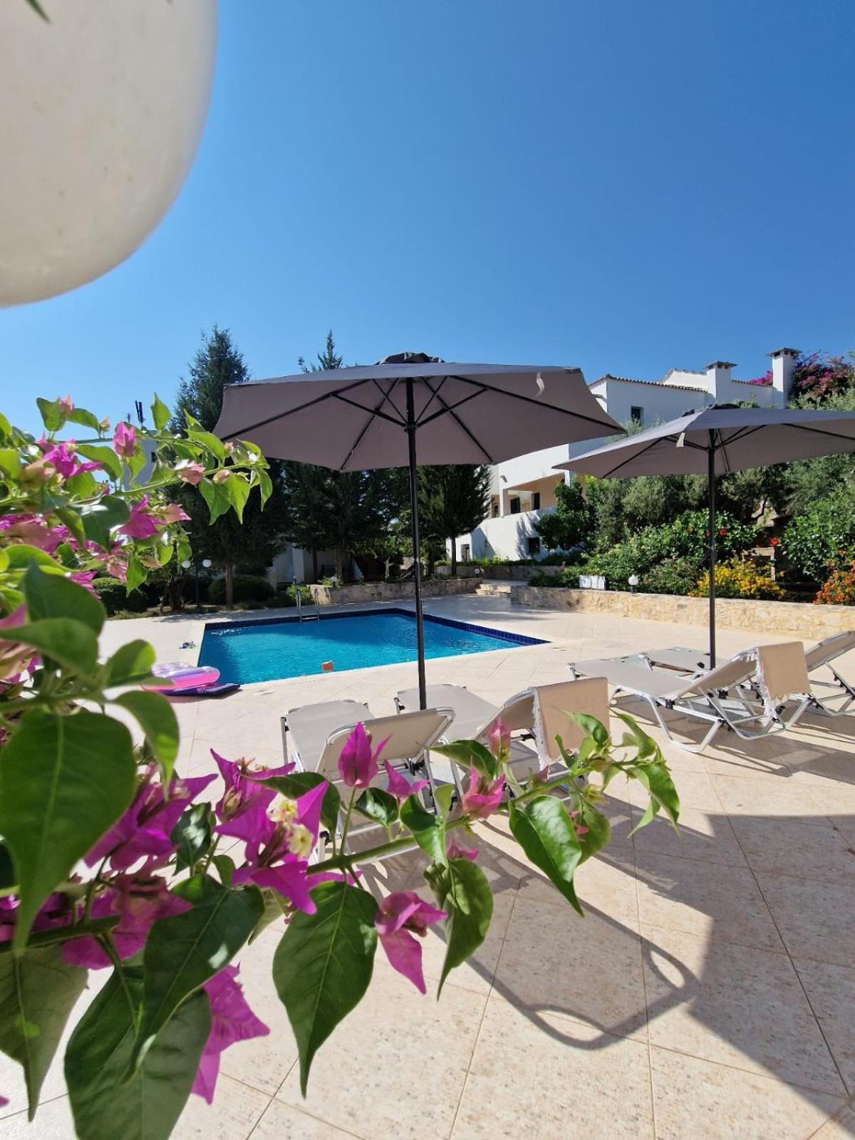 Villa Penelope Luxury Retreat with Pool & Timeless Charm