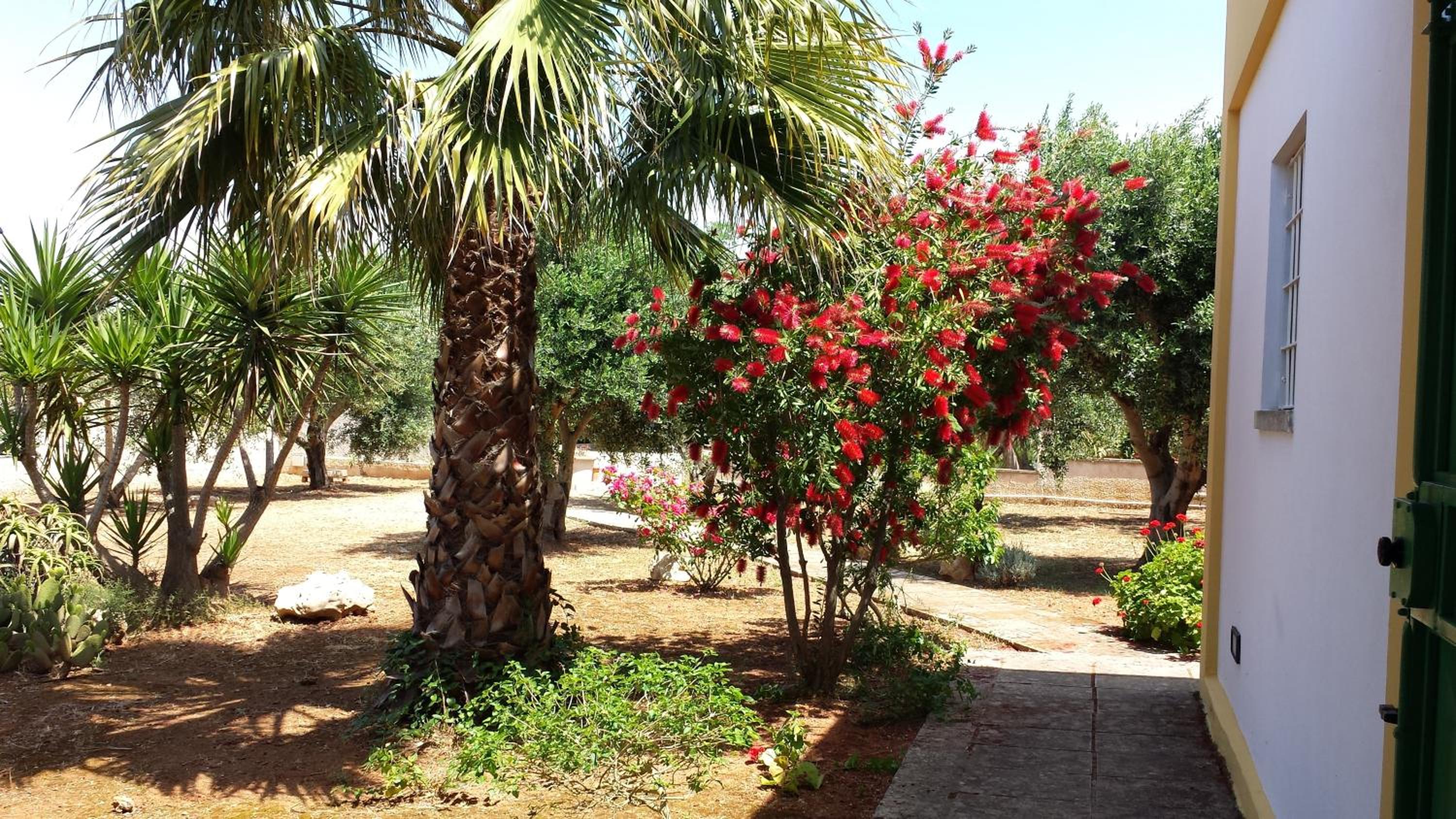 Agriturismo Calamate