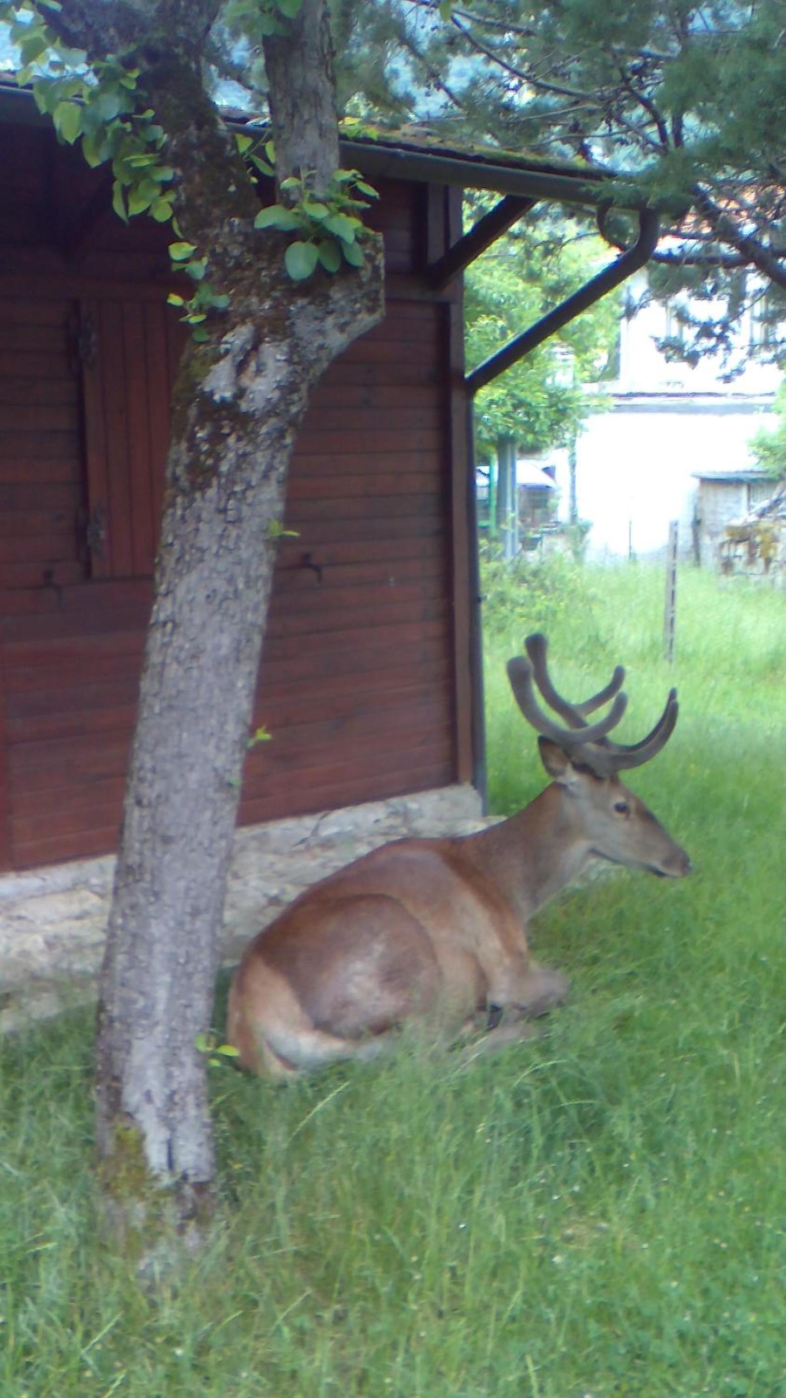 Photo 26