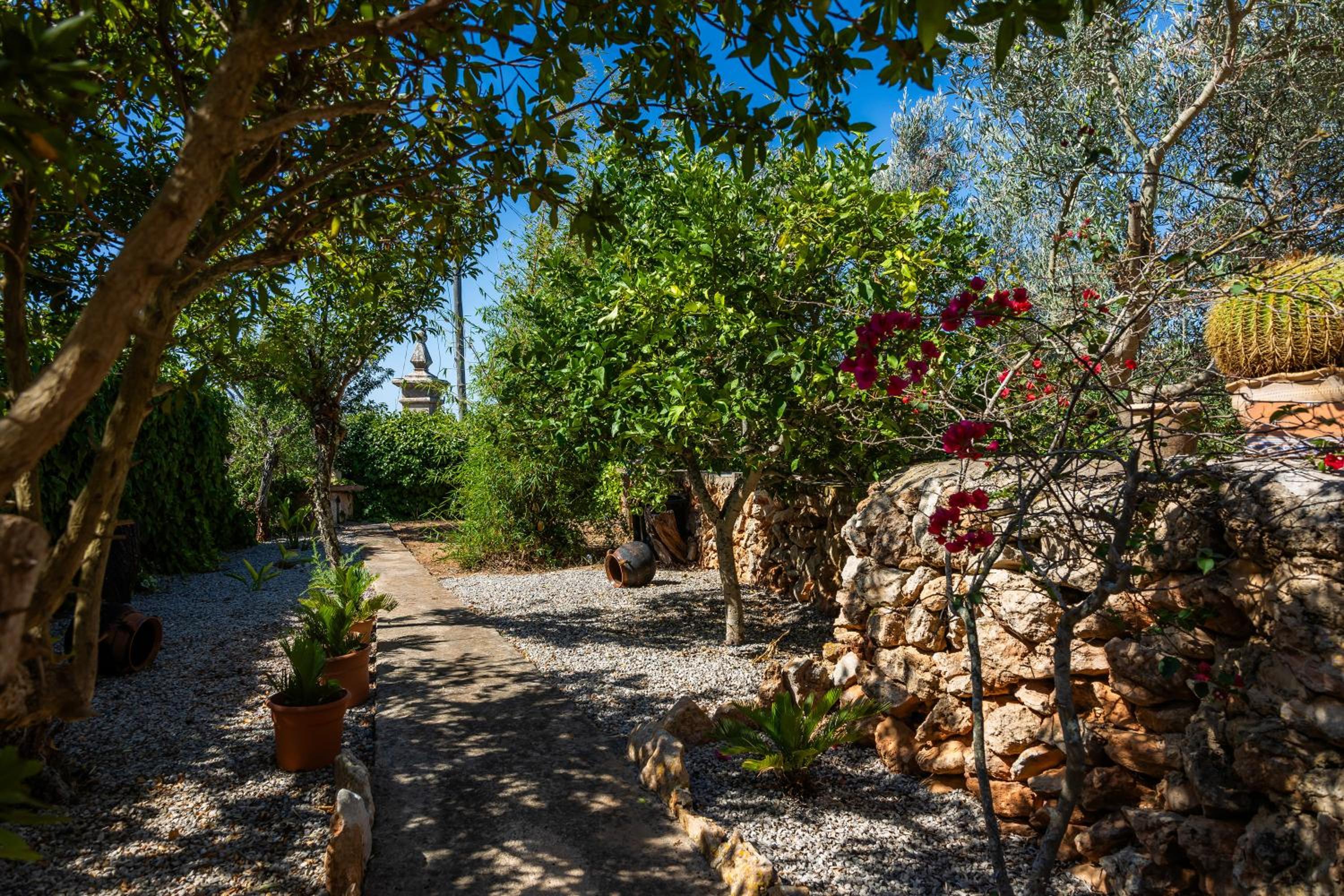 Finca Can Hostalet view 4
