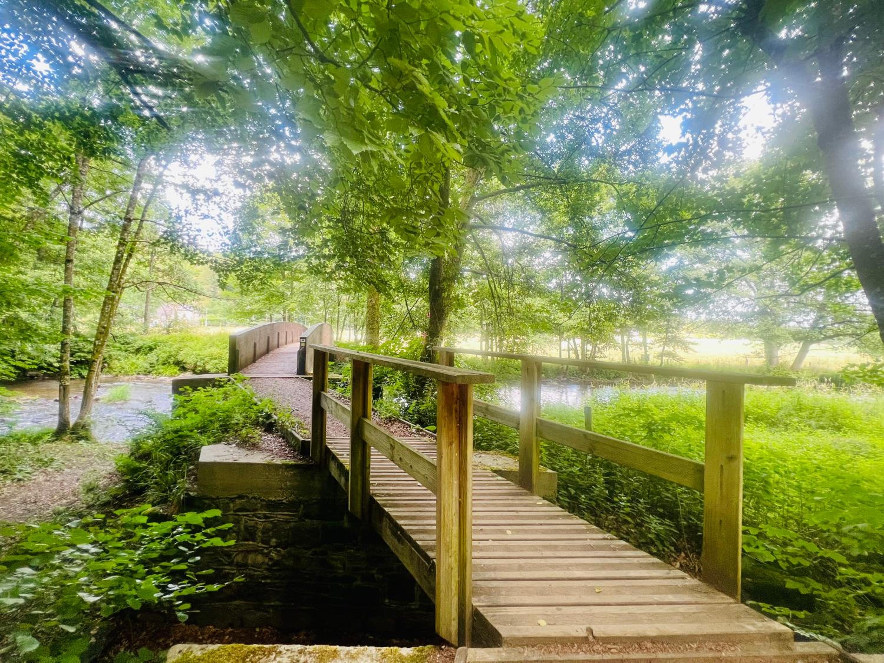 La Balade enchantée- gîte 6 personnes - Ardenne Belge