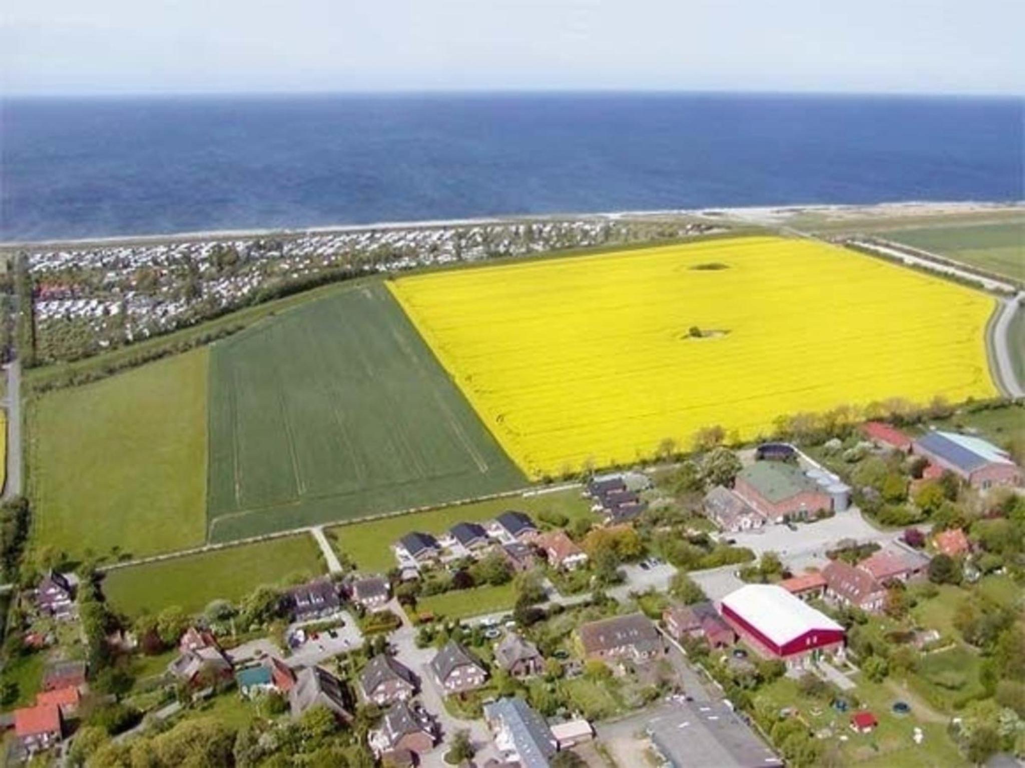 Haus an der Pferdekoppel C eingezäunt 130m
