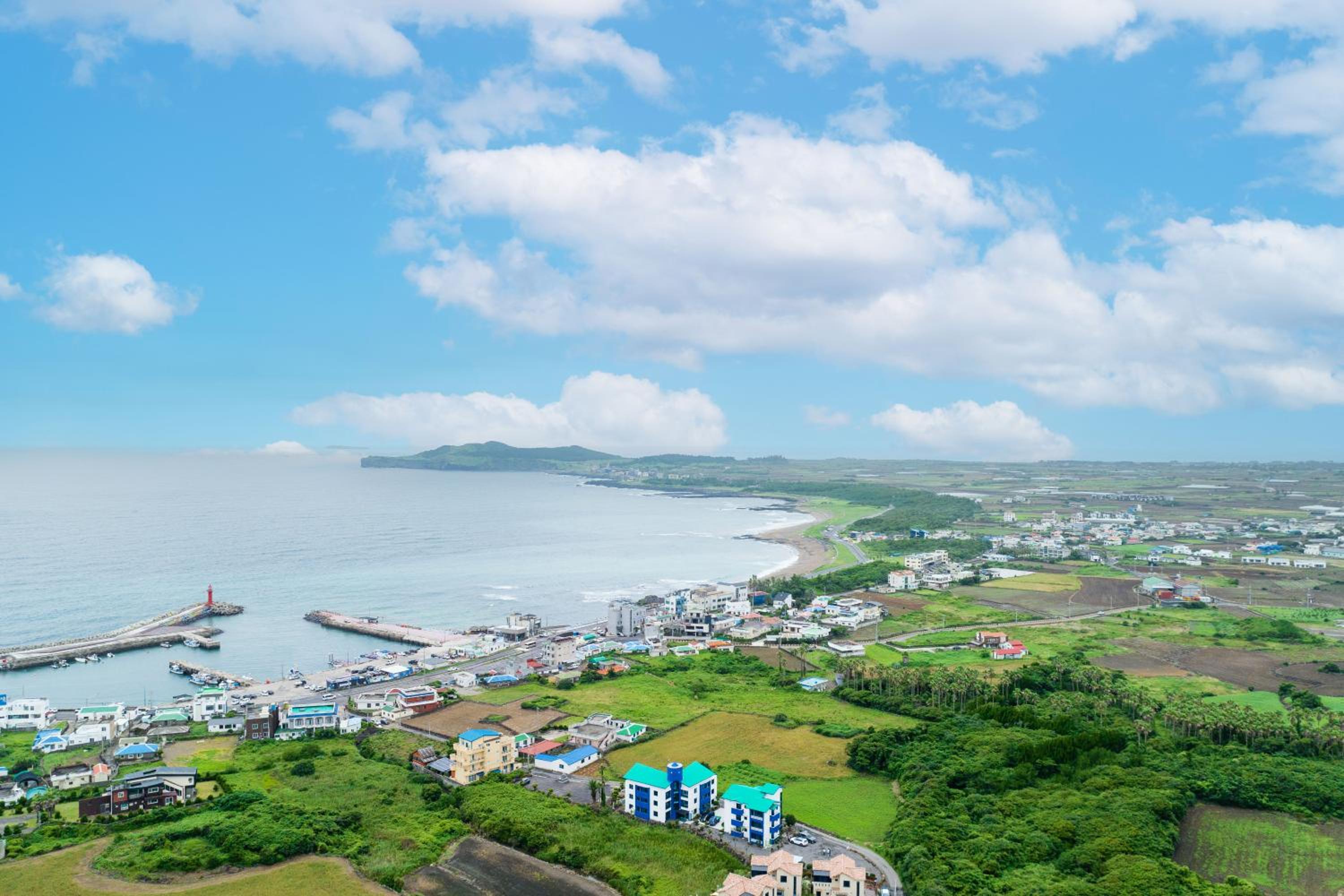Unicorn Jeju view 5