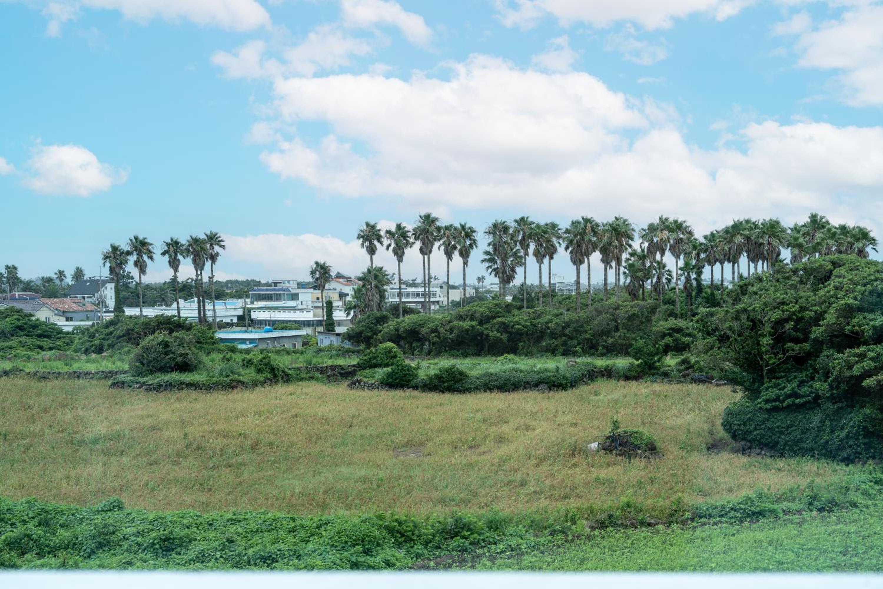 Unicorn Jeju view 3