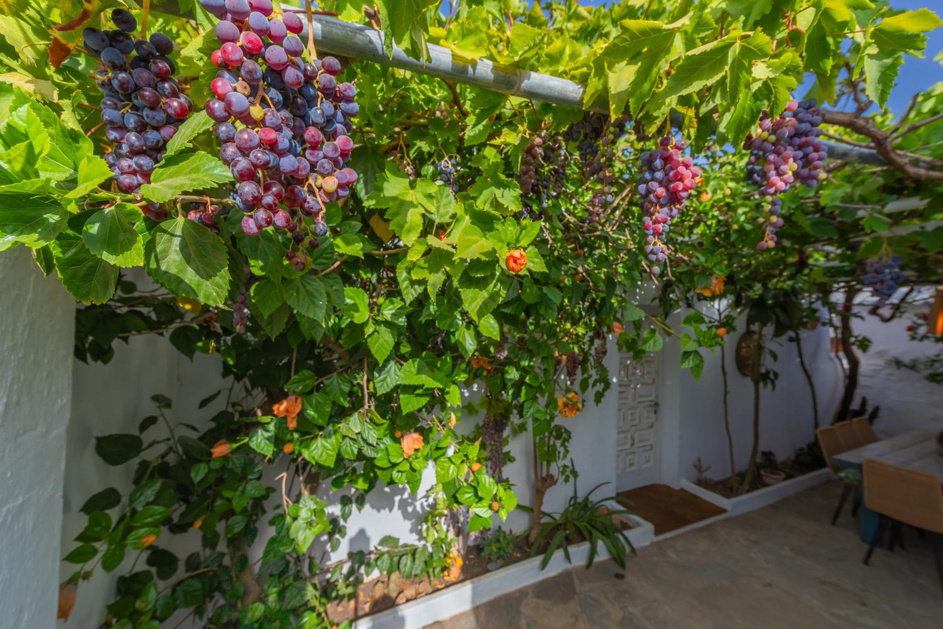 Casa Cortijo con piscina privada en Betis