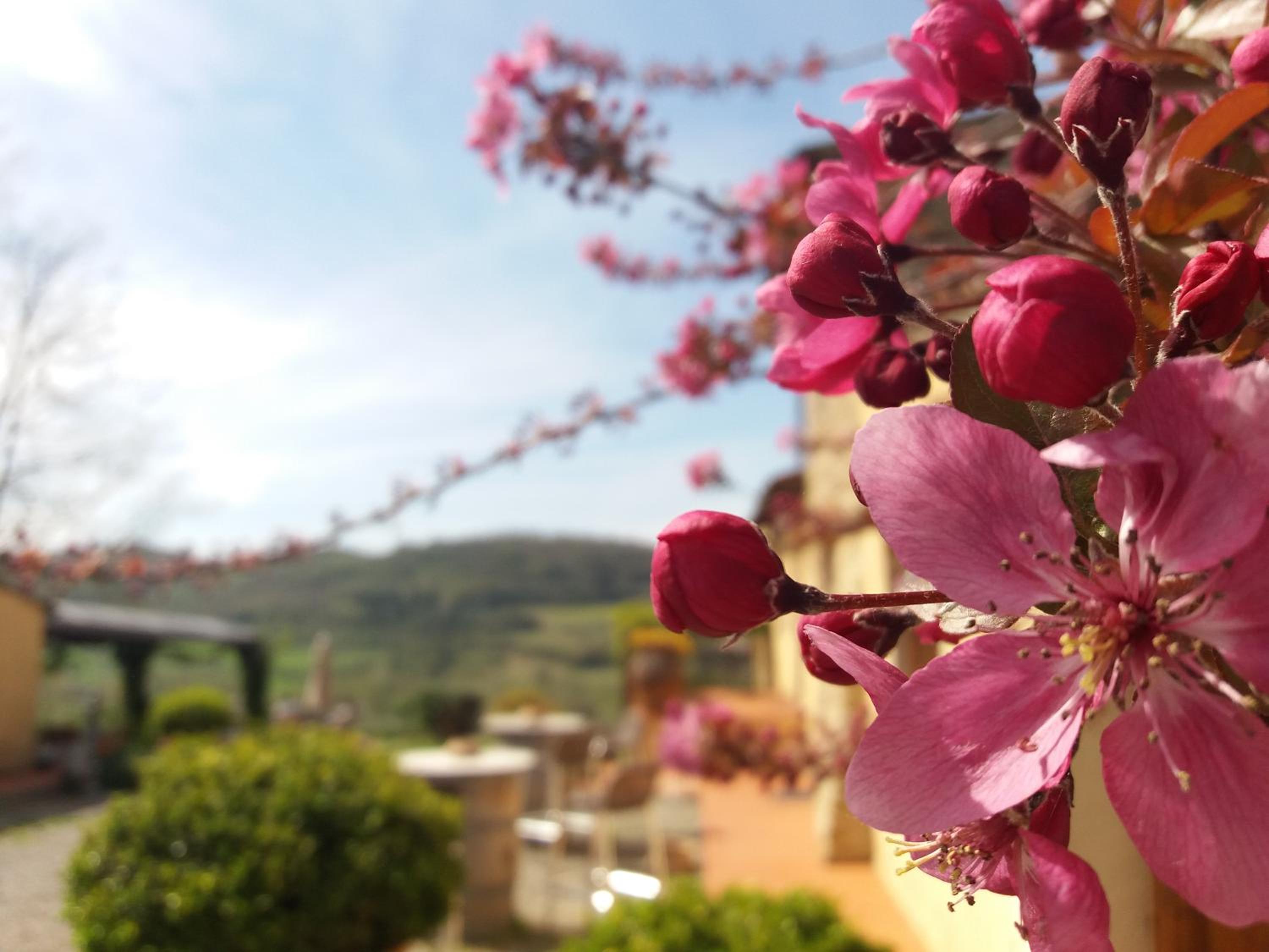 Relais Poggio Borgoni, photo 47