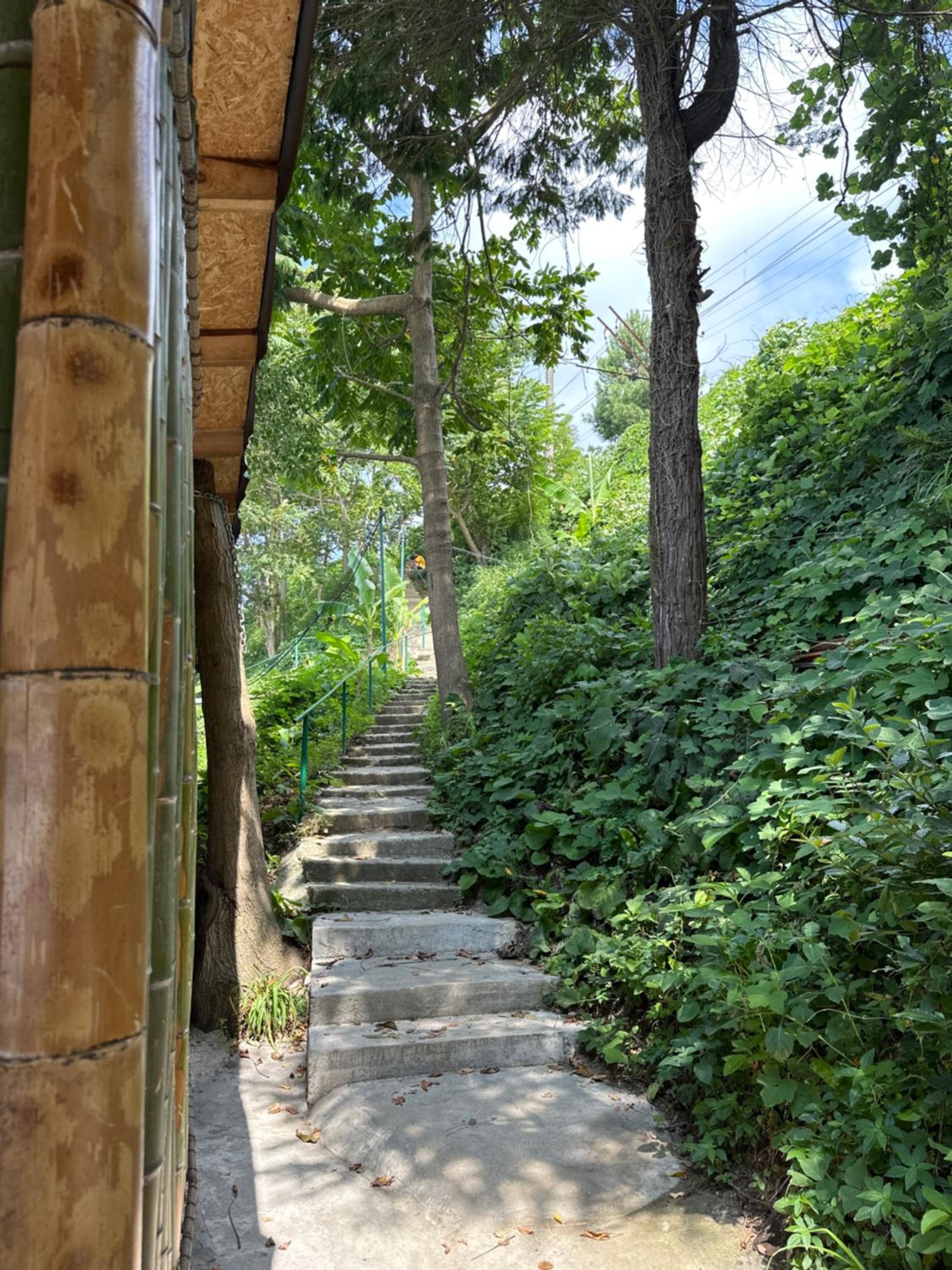 BANI tsikhisdziri