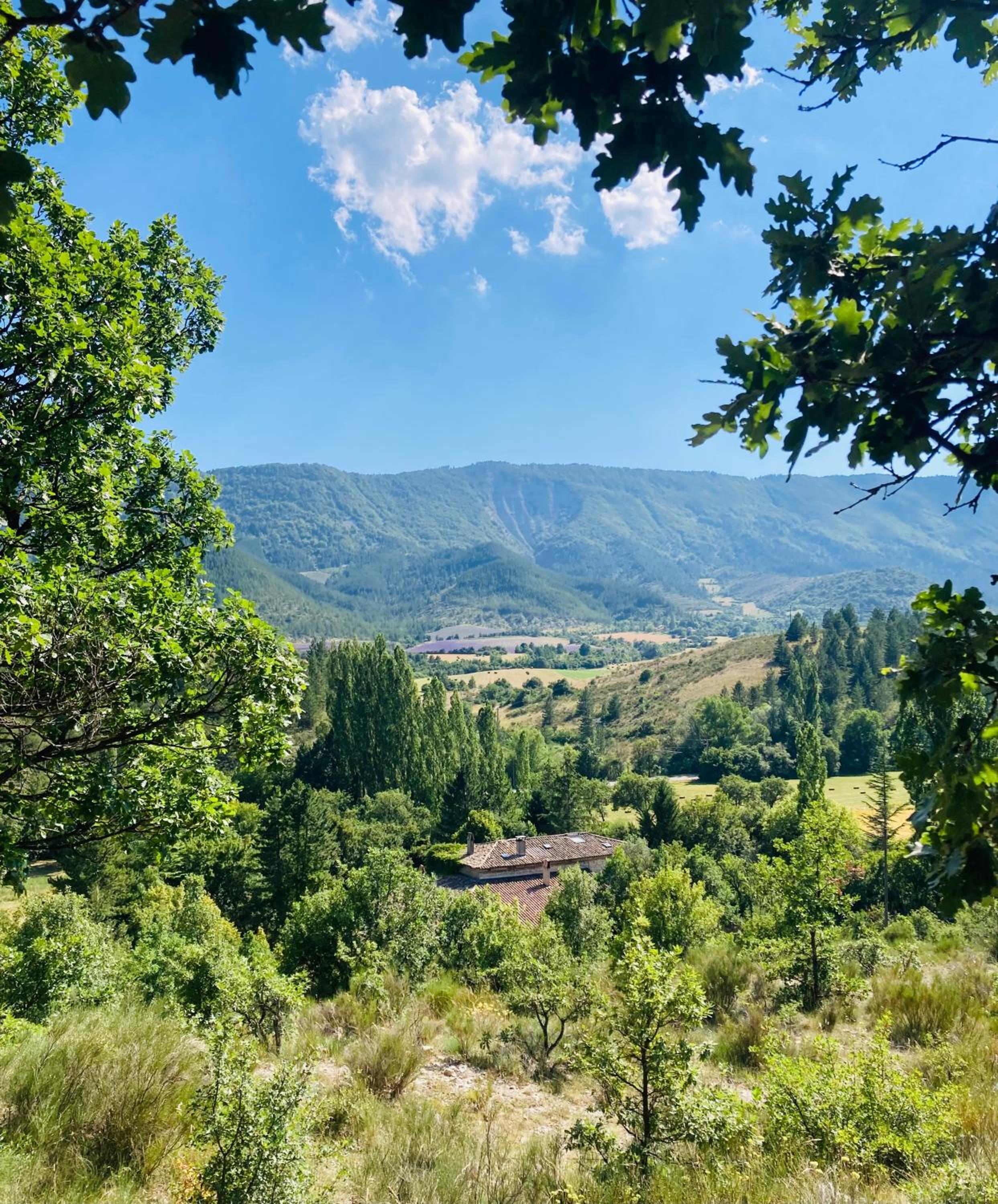 Le Moulin de la Viorne, gîte modulable avec piscine en Haute-Provence view 5