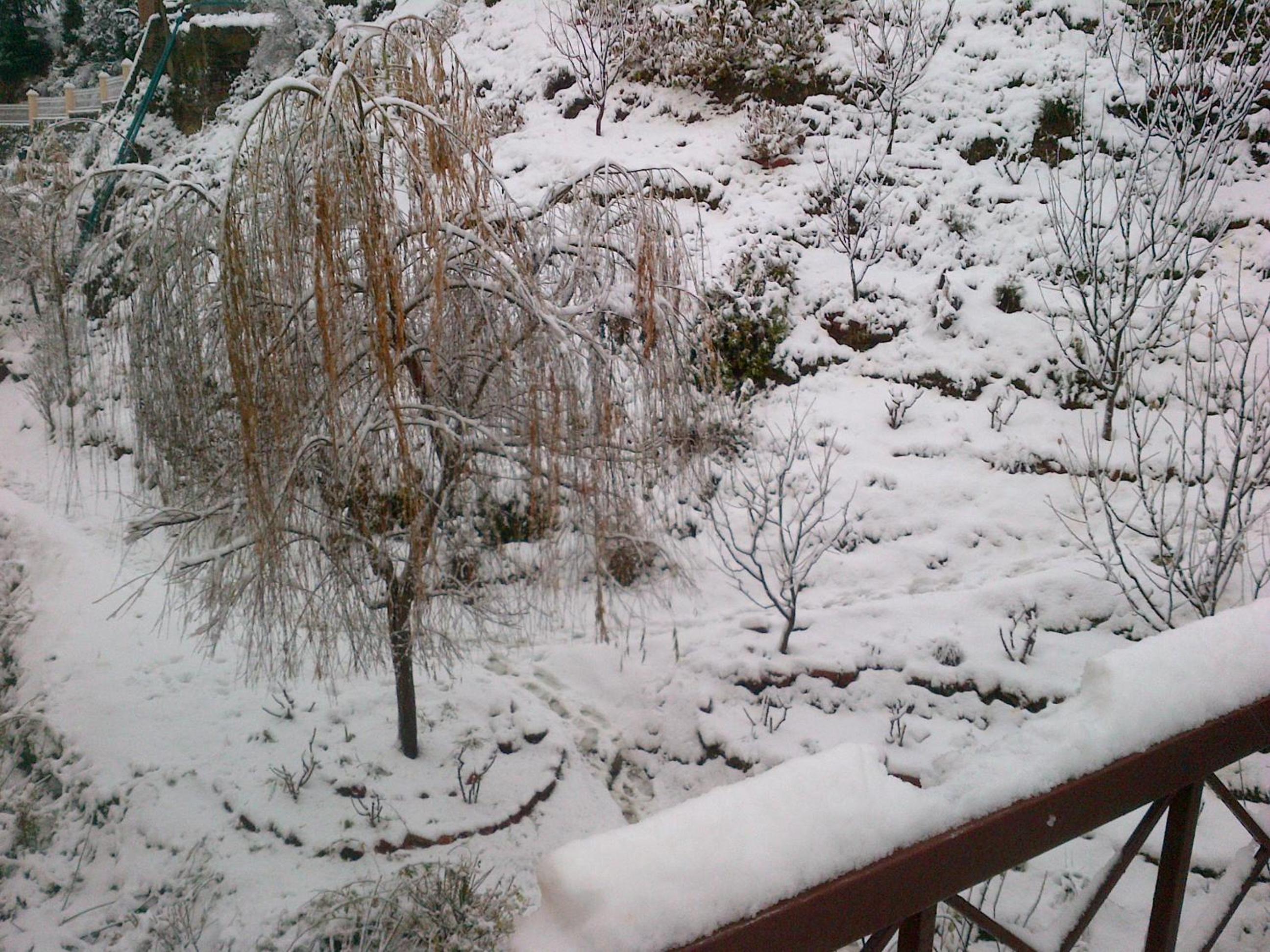 Photo 41