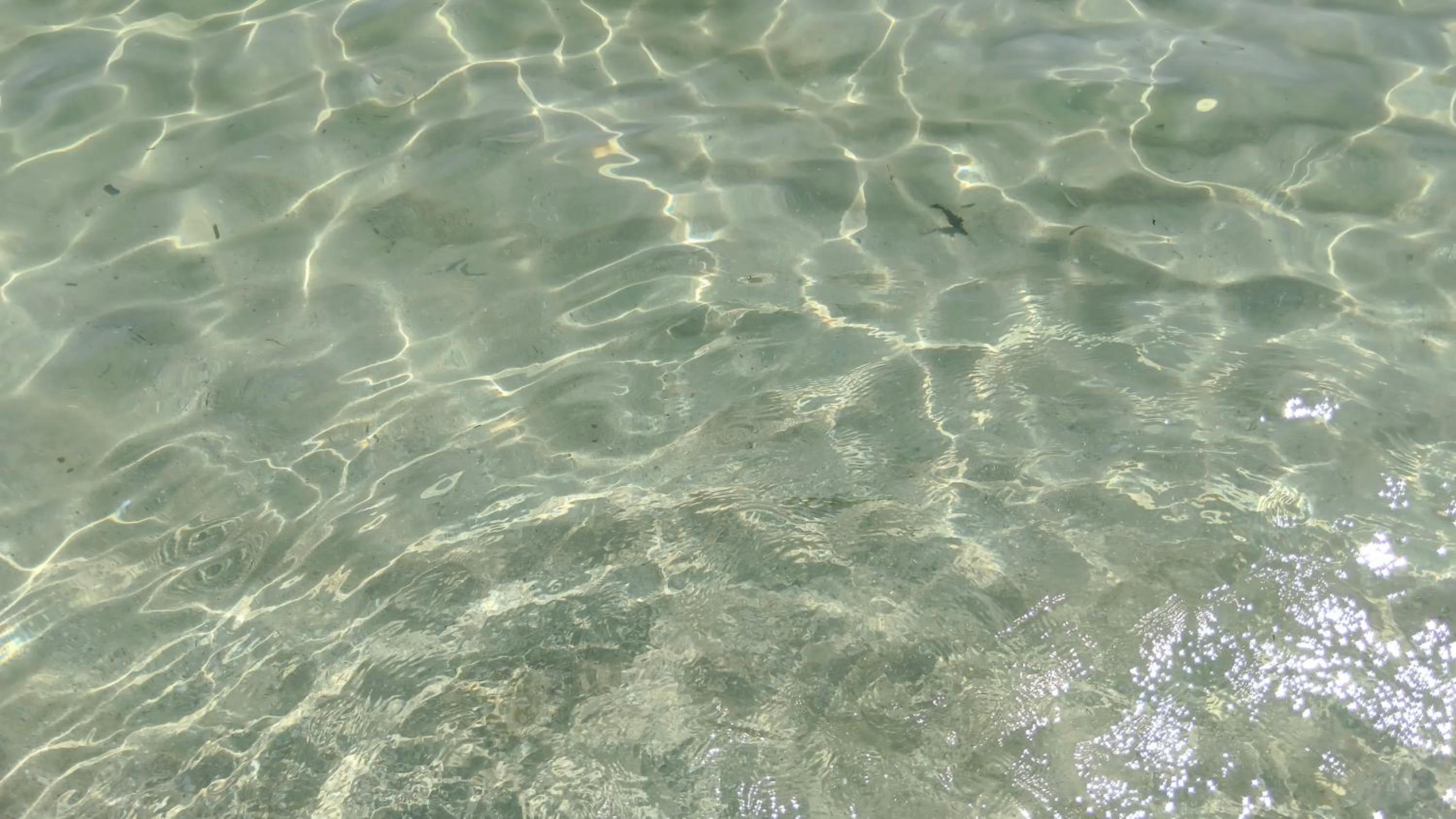 Appartamento Oasi con Piscina